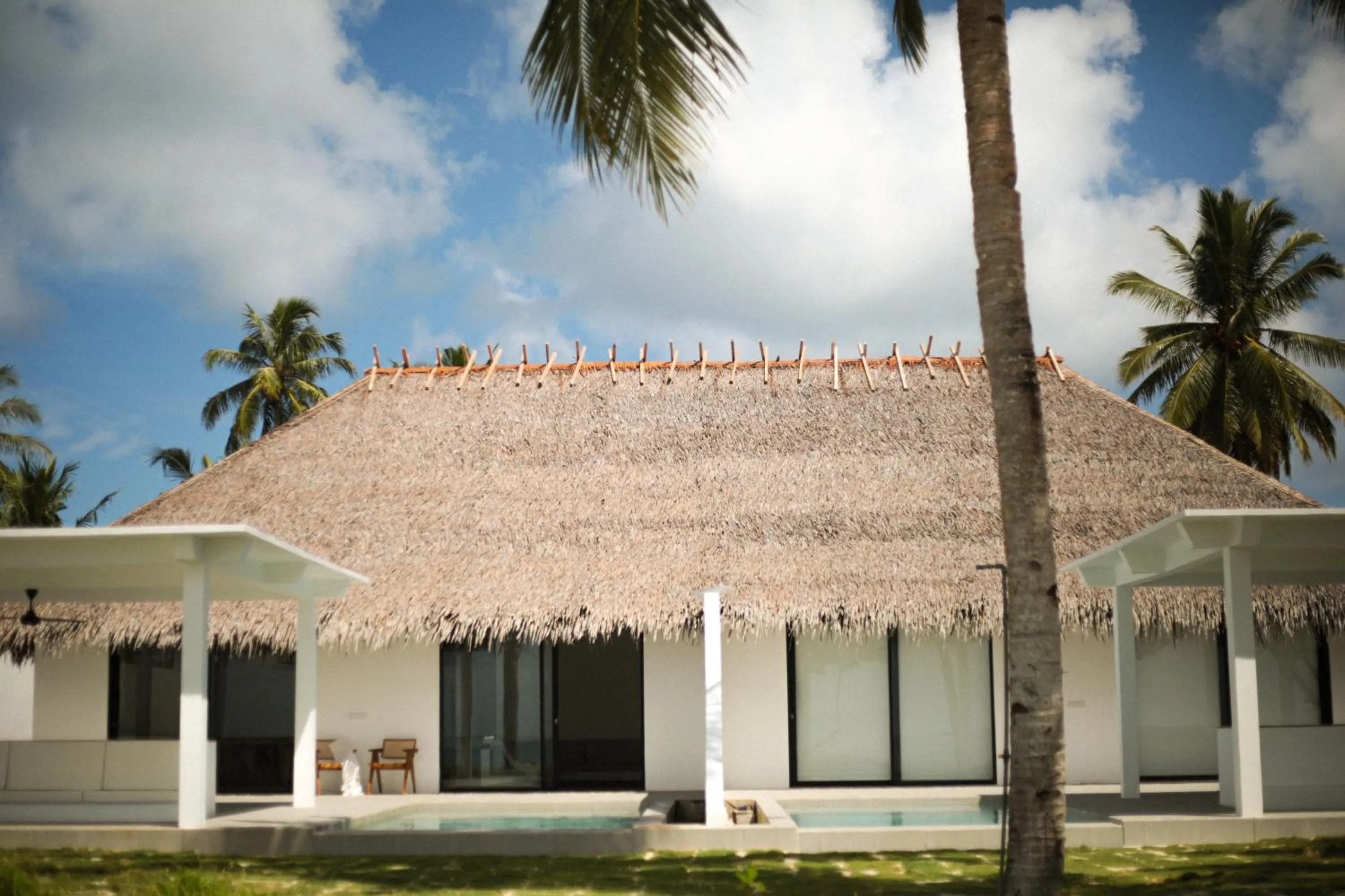 La Belle Hollow Trees