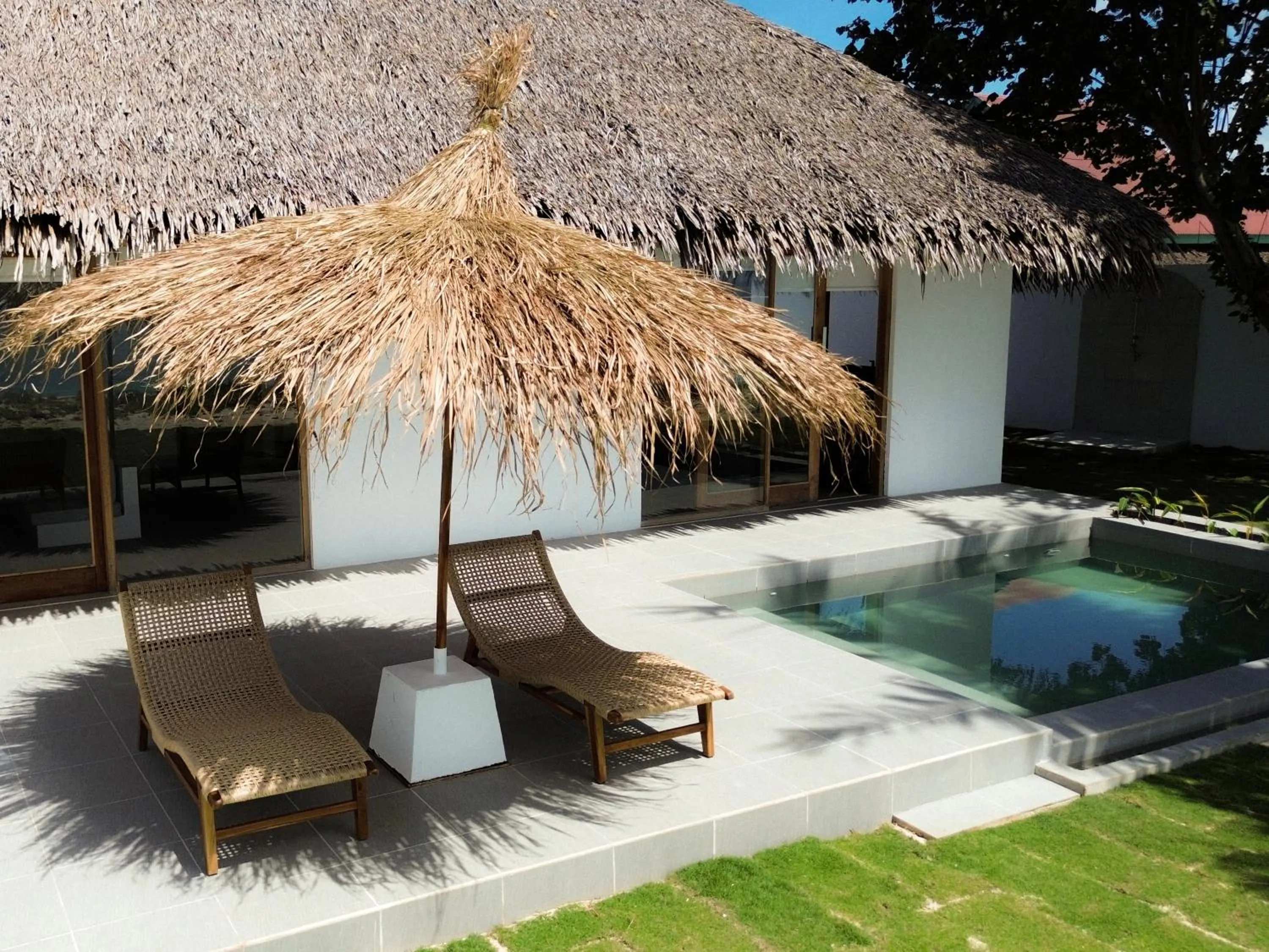 La Belle Hollow Trees