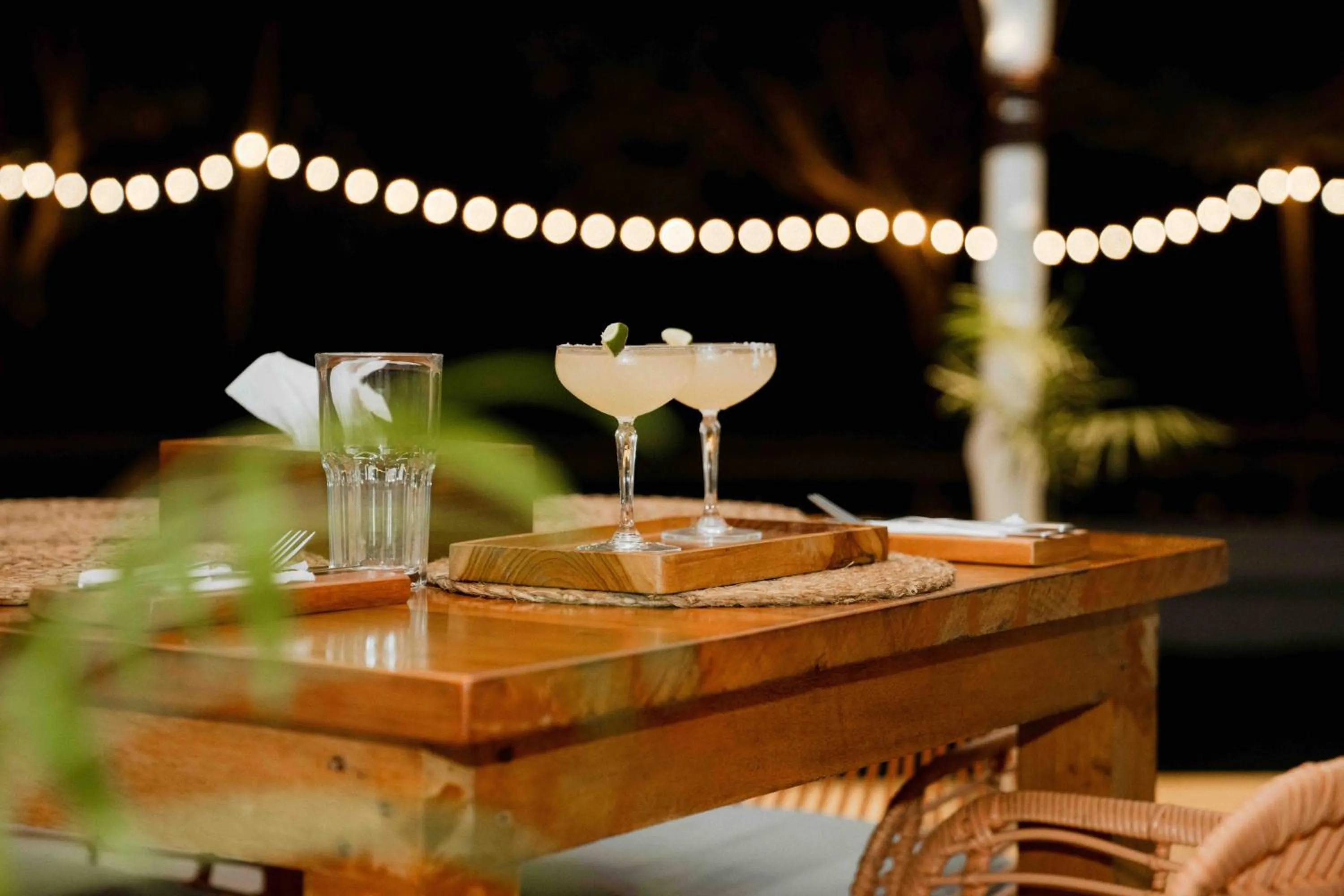 La Belle Hollow Trees