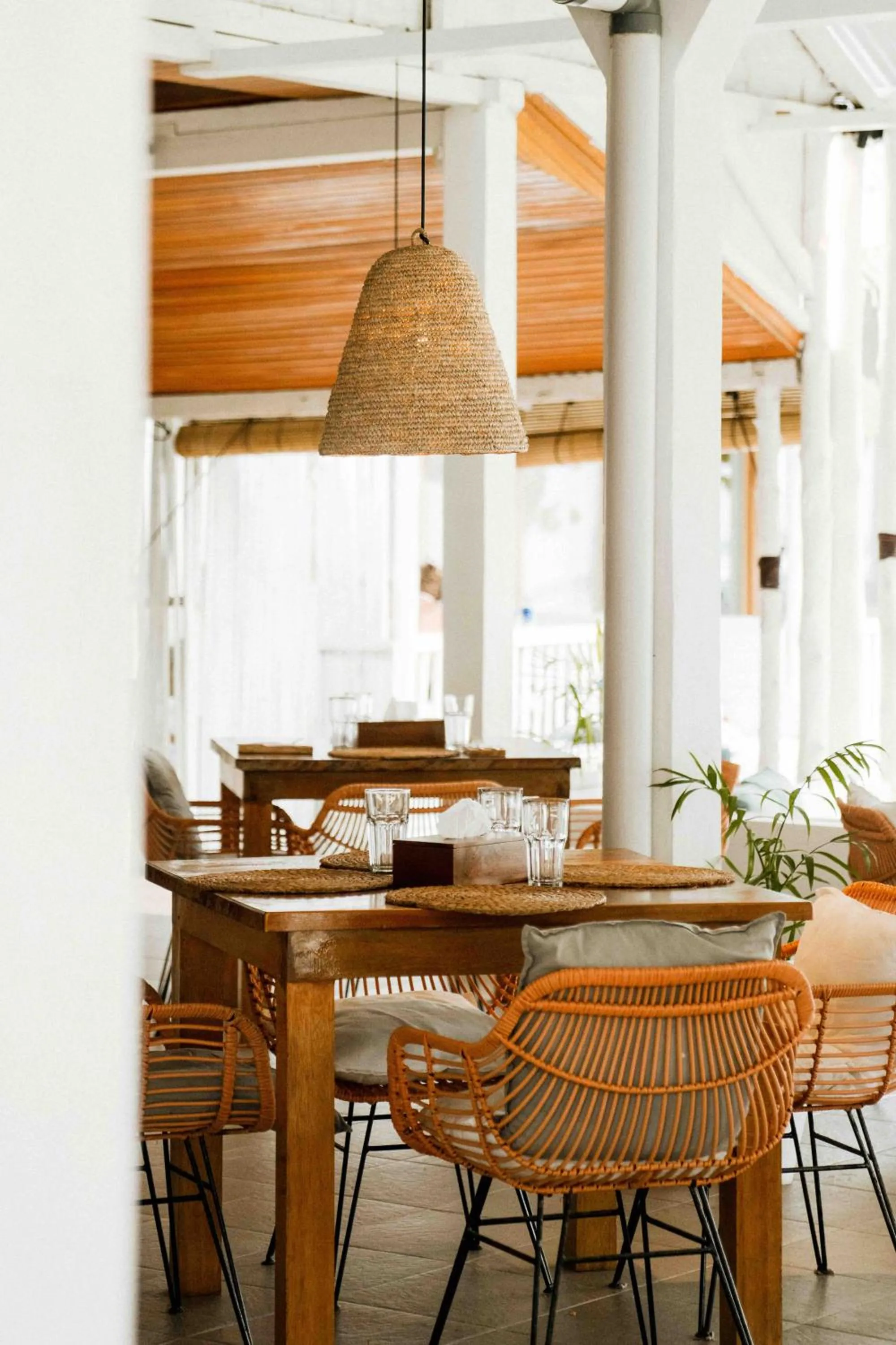 La Belle Hollow Trees