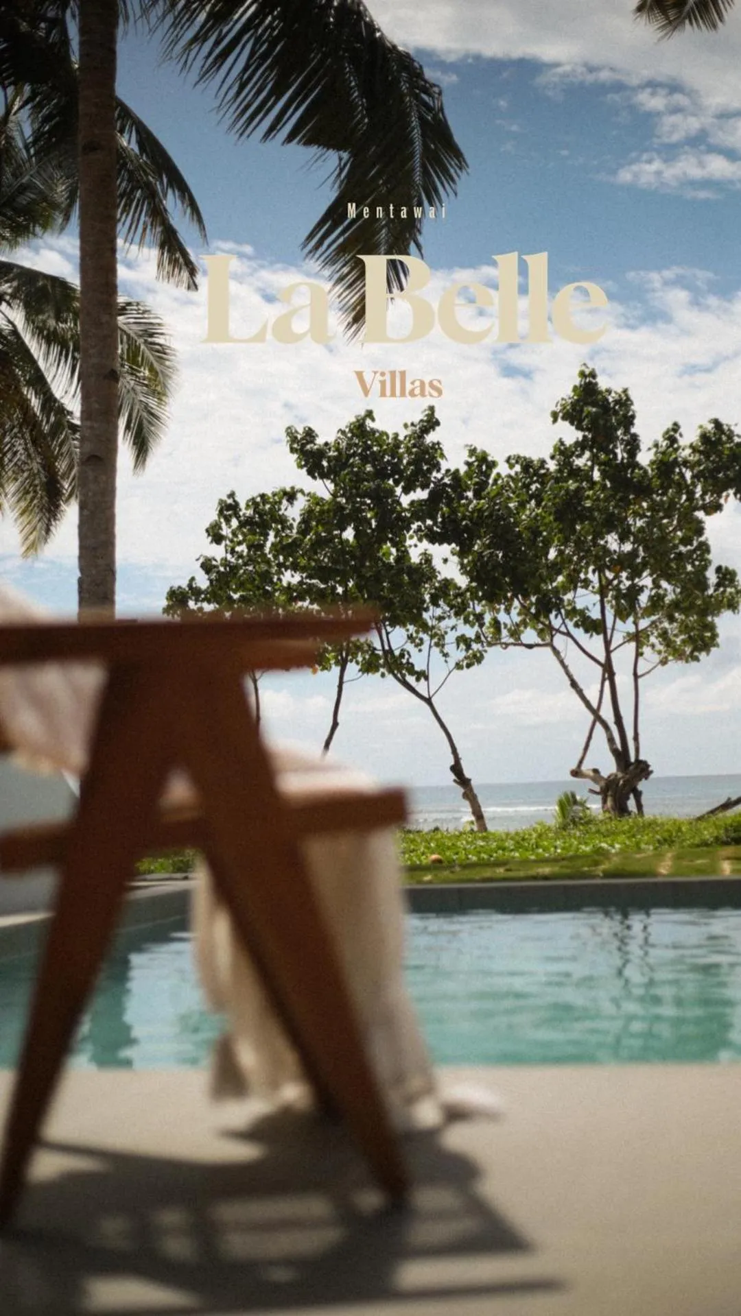 La Belle Hollow Trees