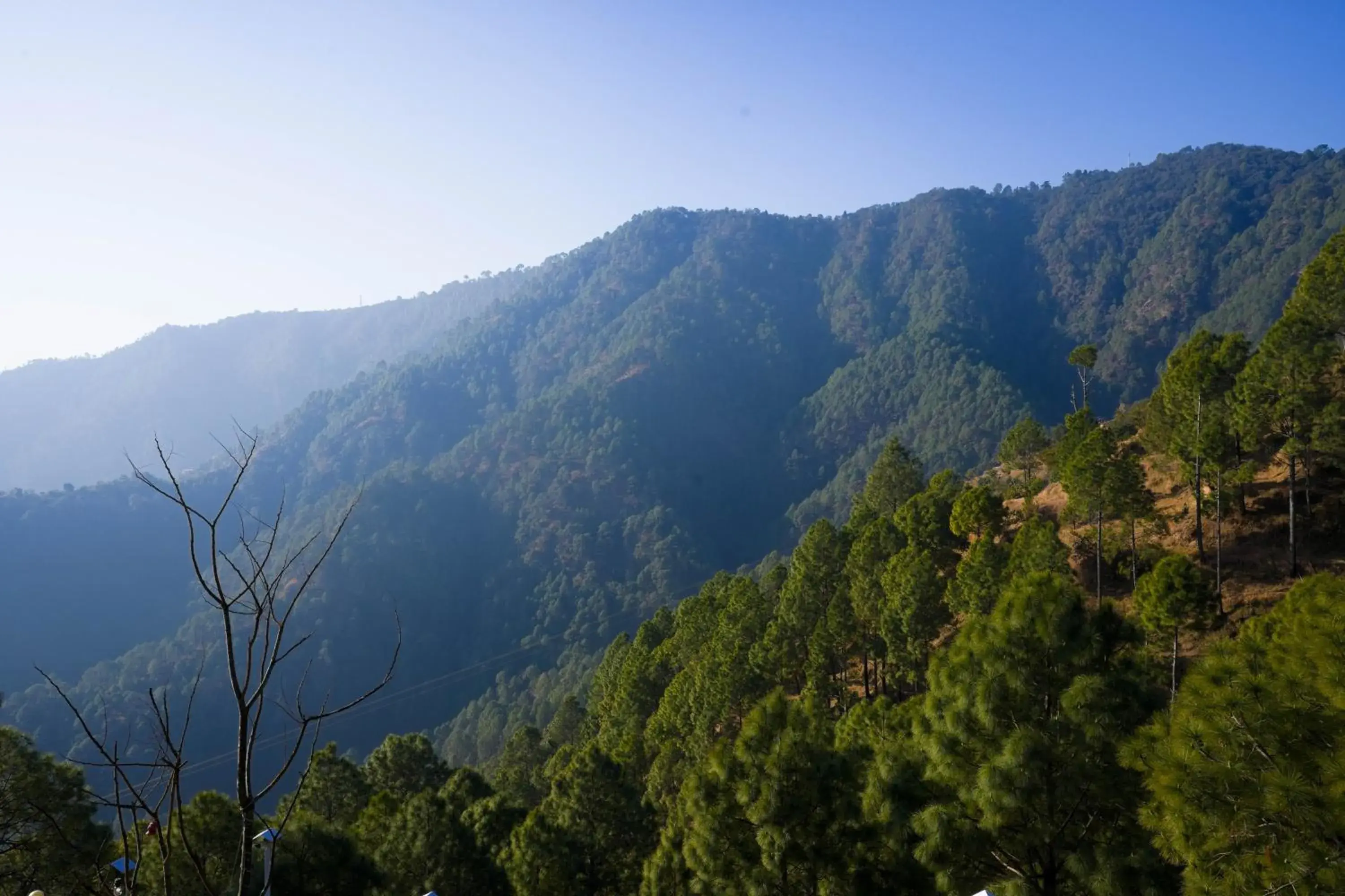 View (from property/room) in Hamilton palace View (from property/room) in Hamilton palace