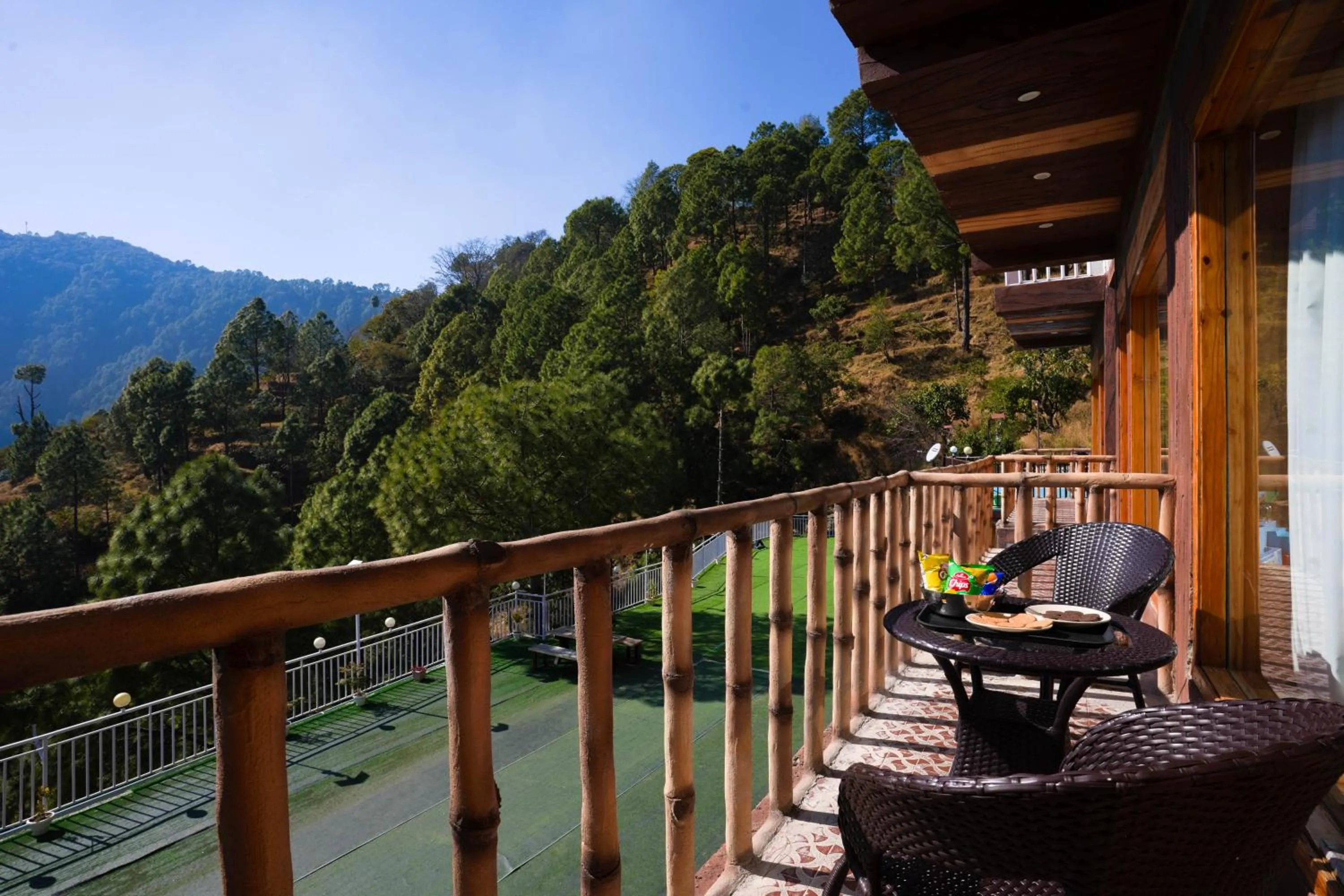 View (from property/room) in Hamilton palace