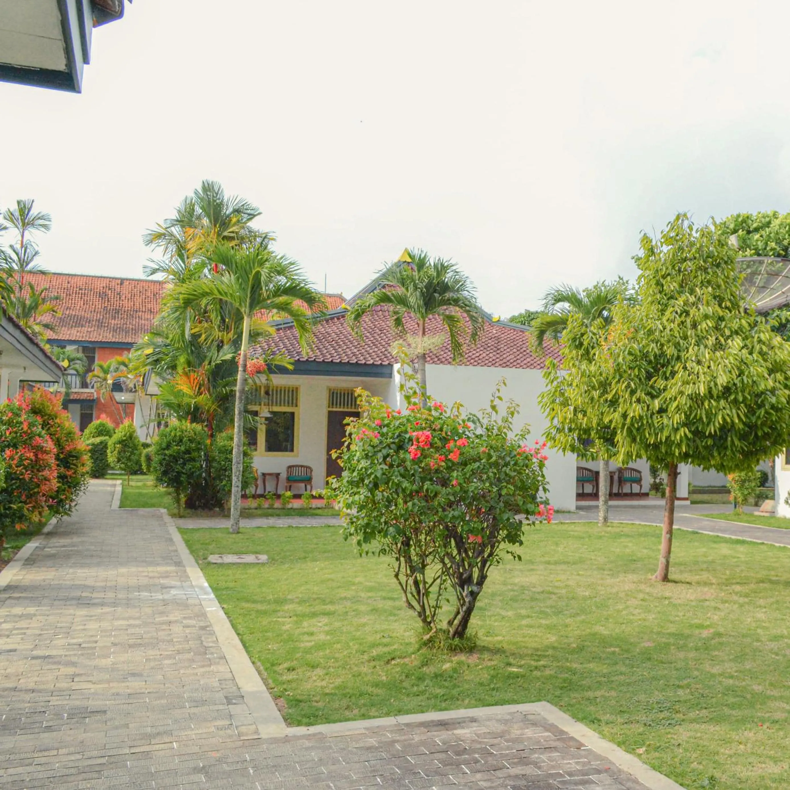Garden in Royal Brongto Hotel