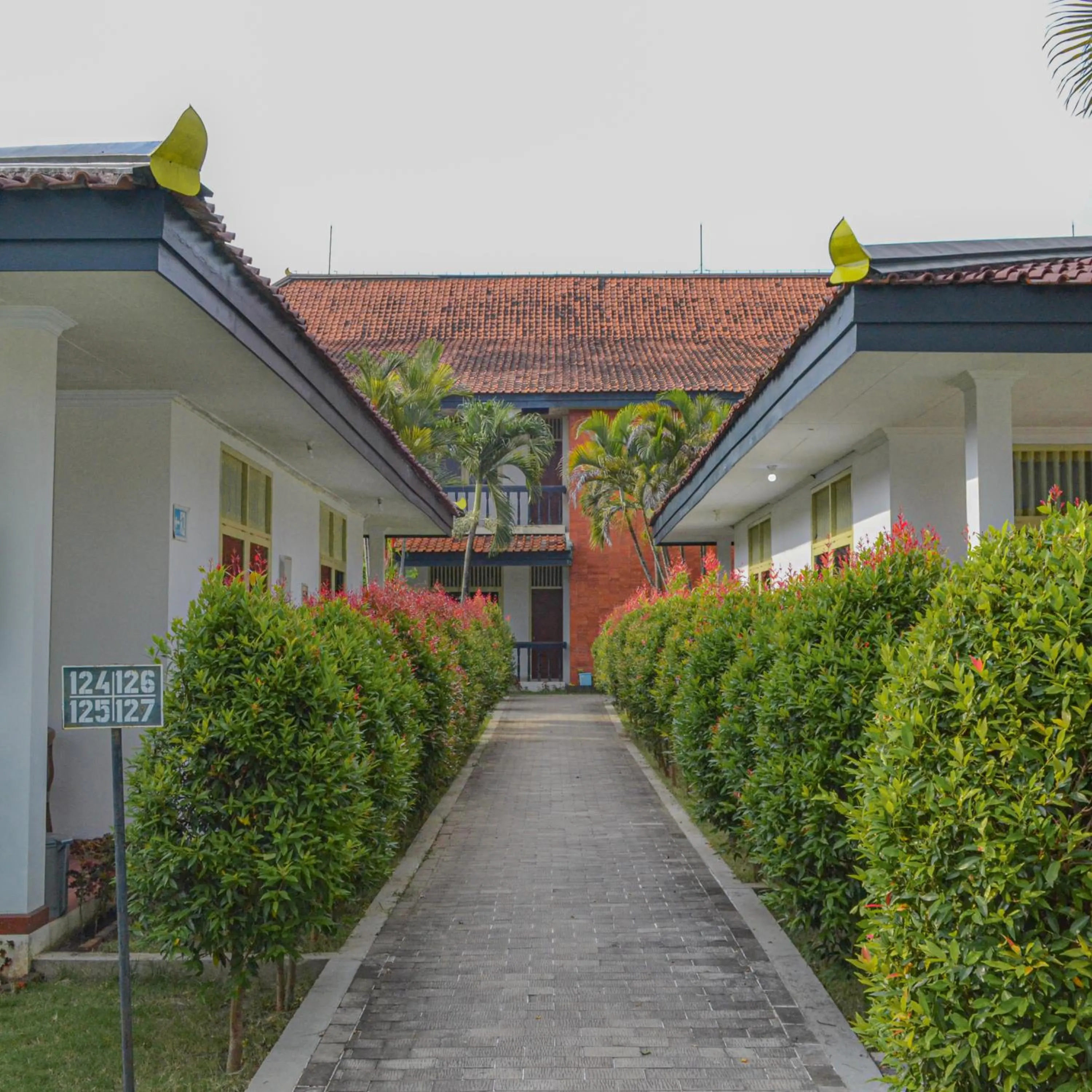 Garden in Royal Brongto Hotel