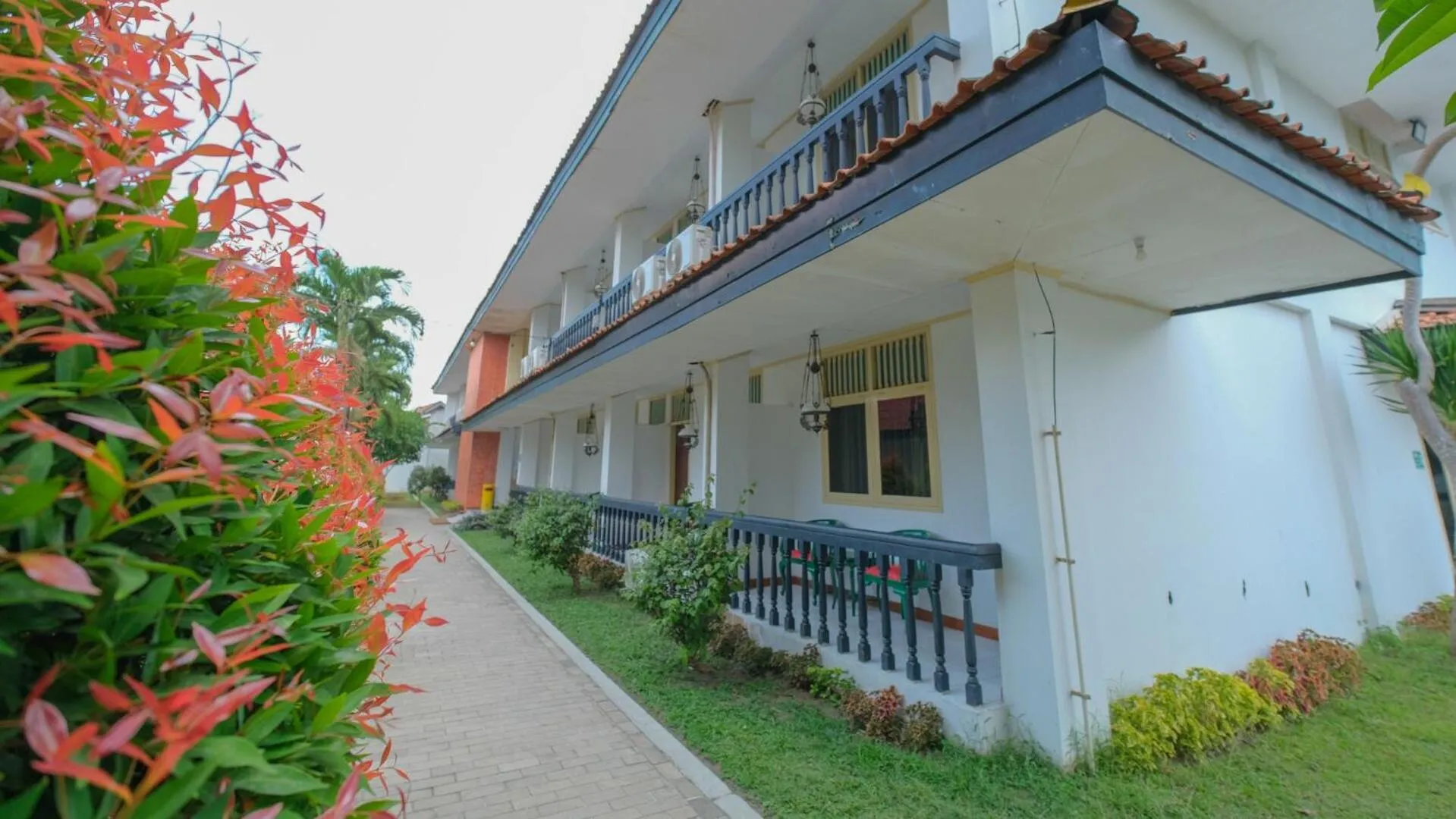 Garden in Royal Brongto Hotel