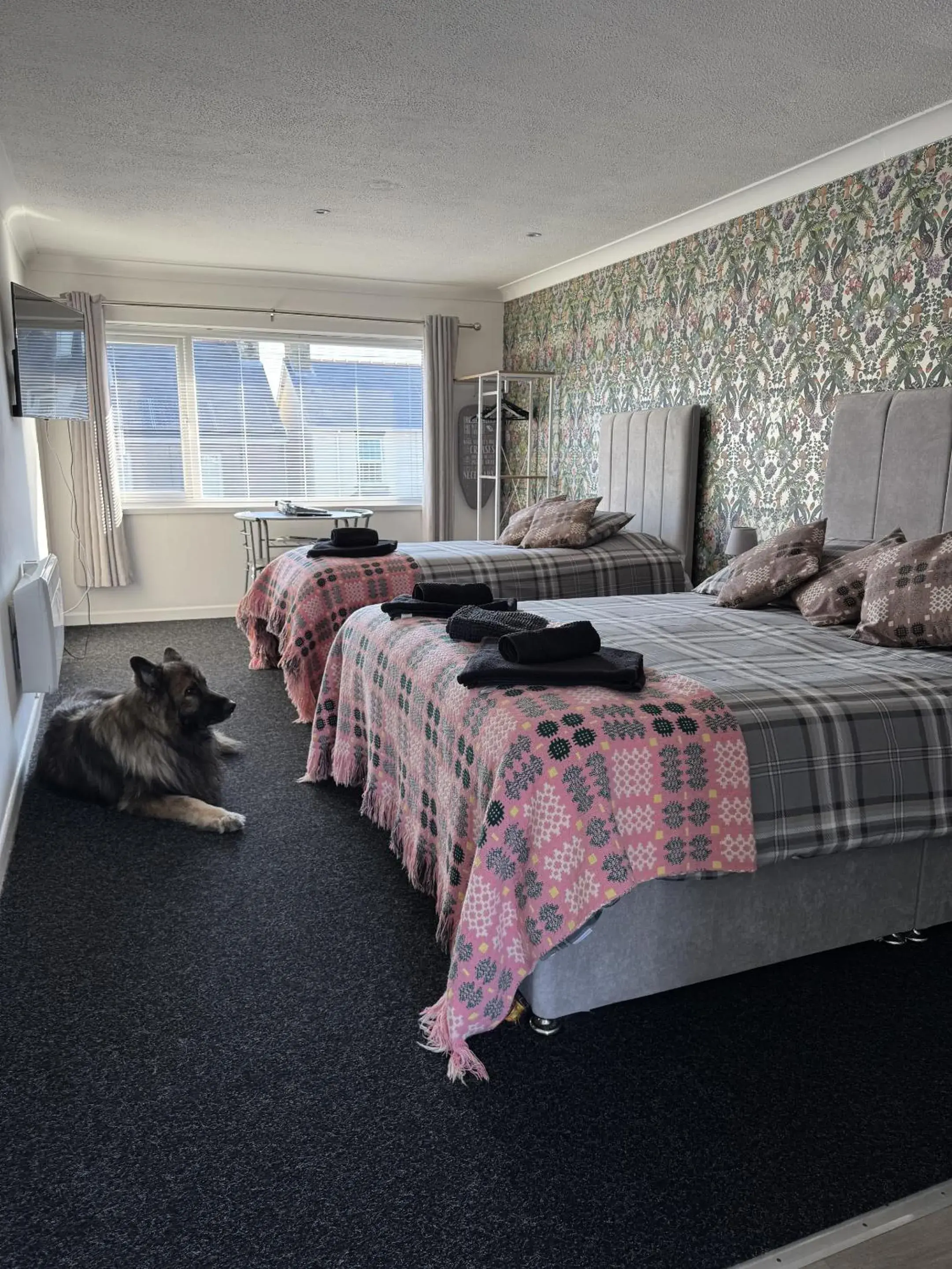 Double or Twin Room with Private Bathroom in Traeth Rooms Double or Twin Room with Private Bathroom in Traeth Rooms