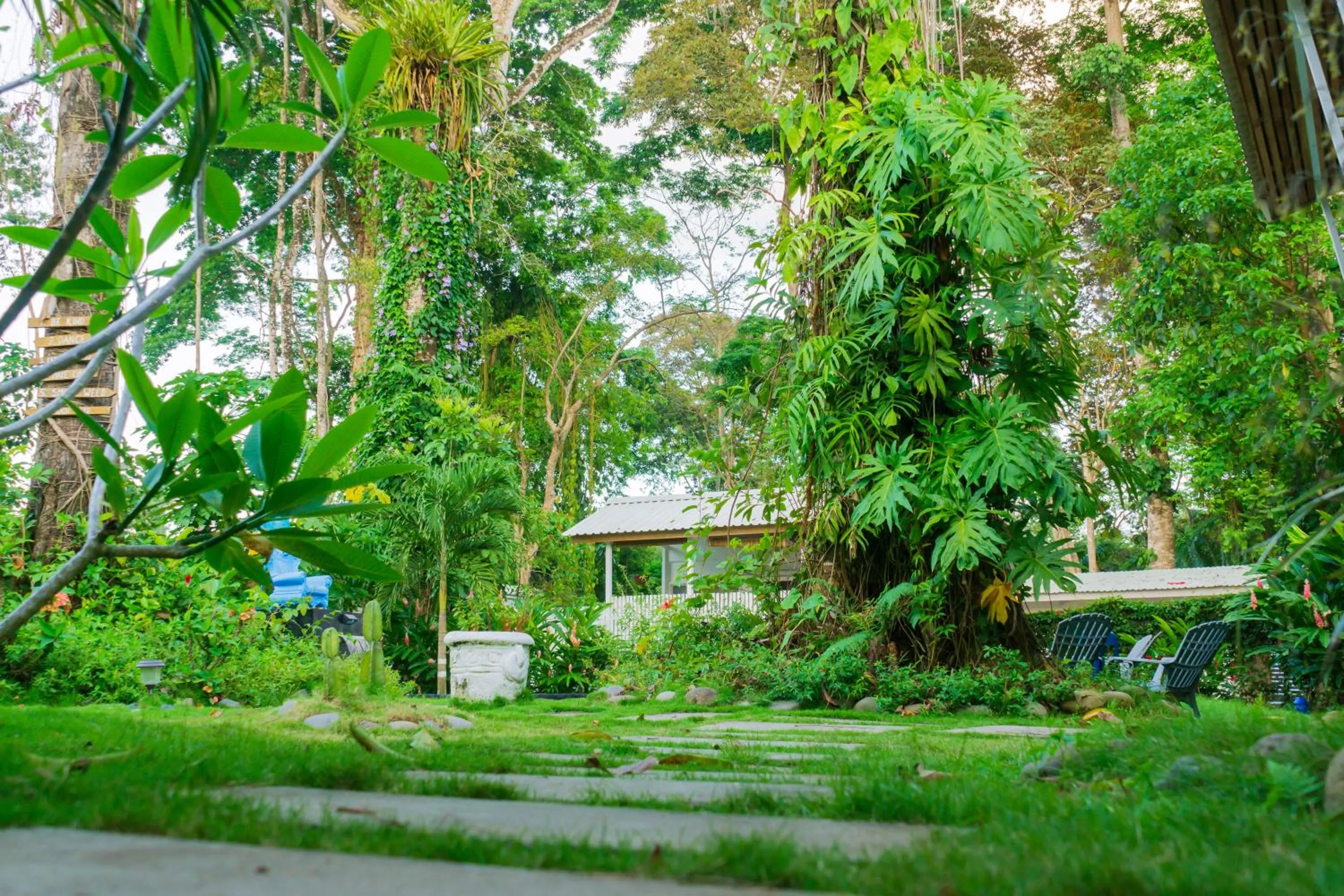 Garden view in Olivia del caribe suite