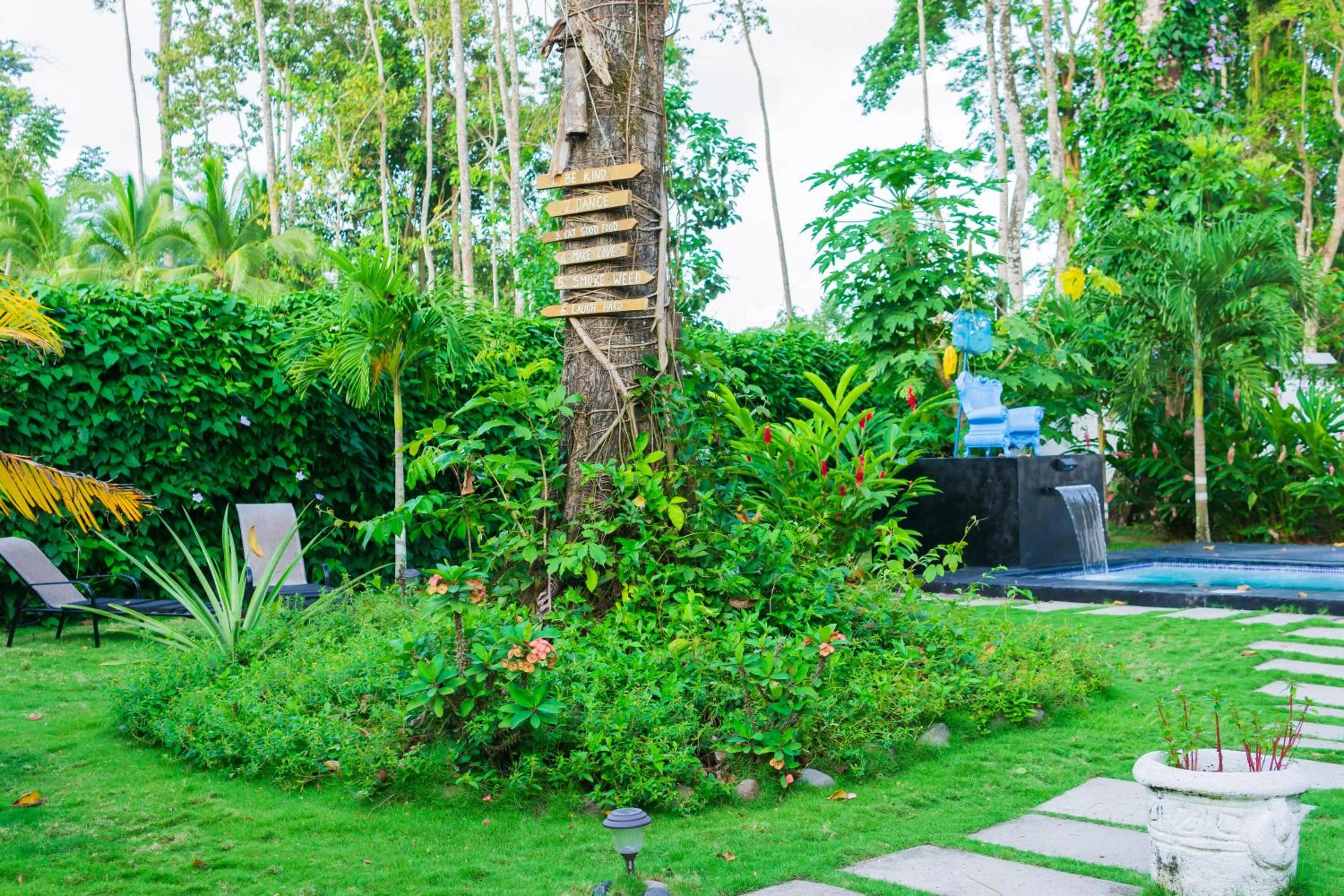 Spring in Olivia del caribe suite