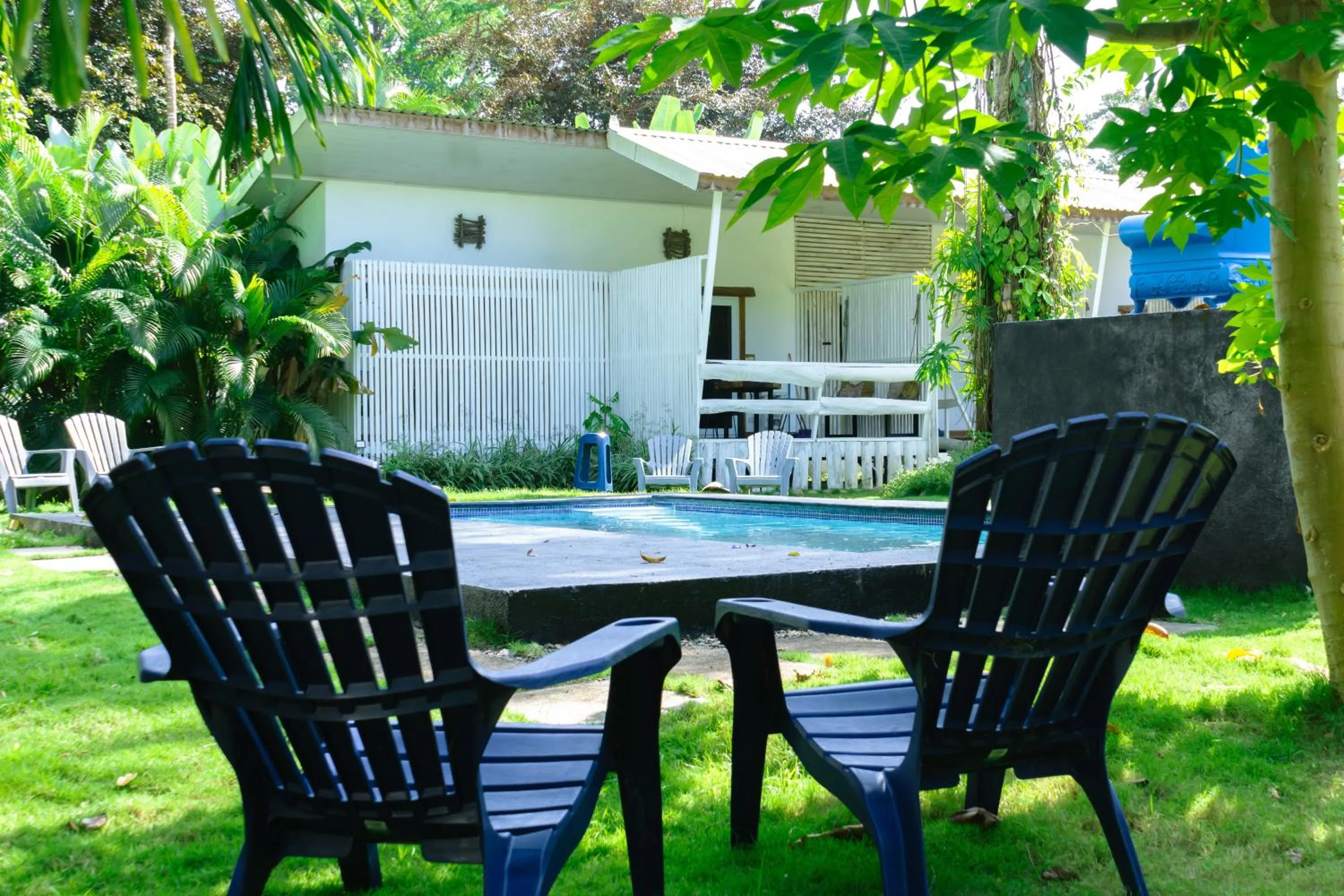 Garden in Olivia del caribe suite