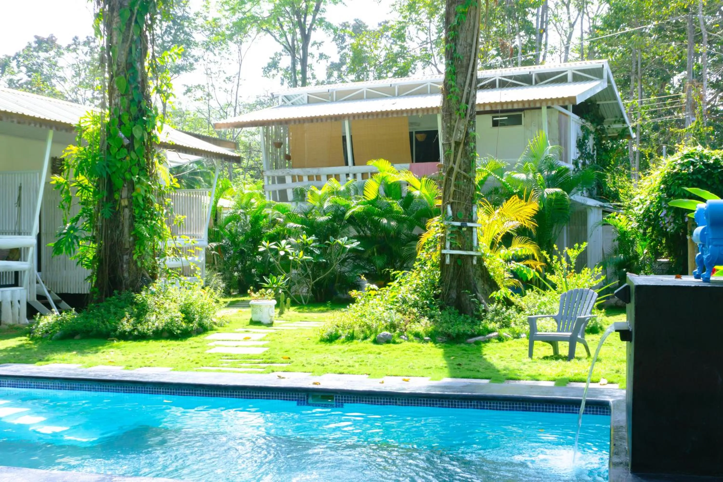 Spring in Olivia del caribe suite