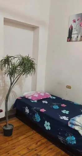 Grand Safari Hostel