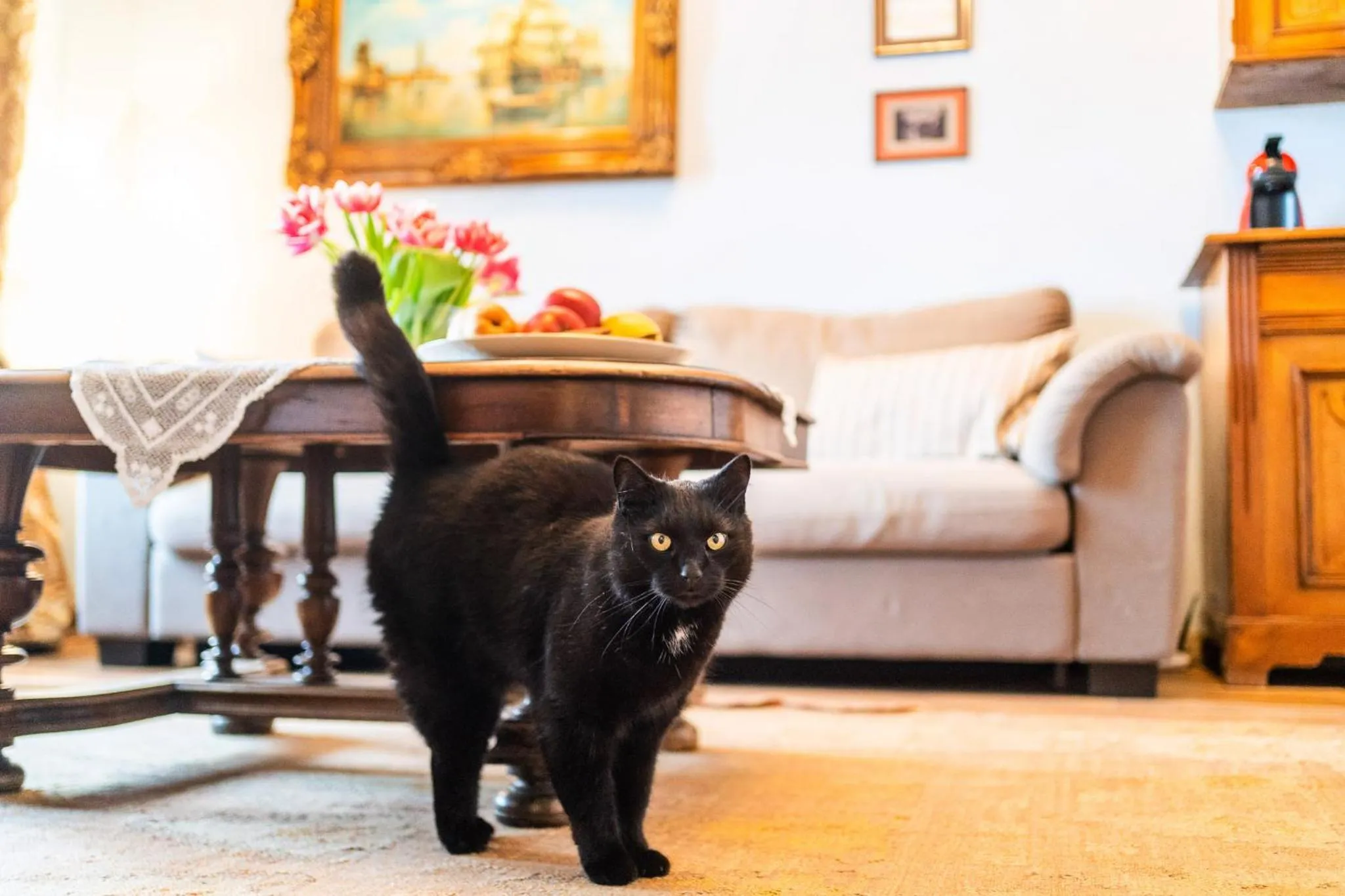 Living room in Folwark Karczemka