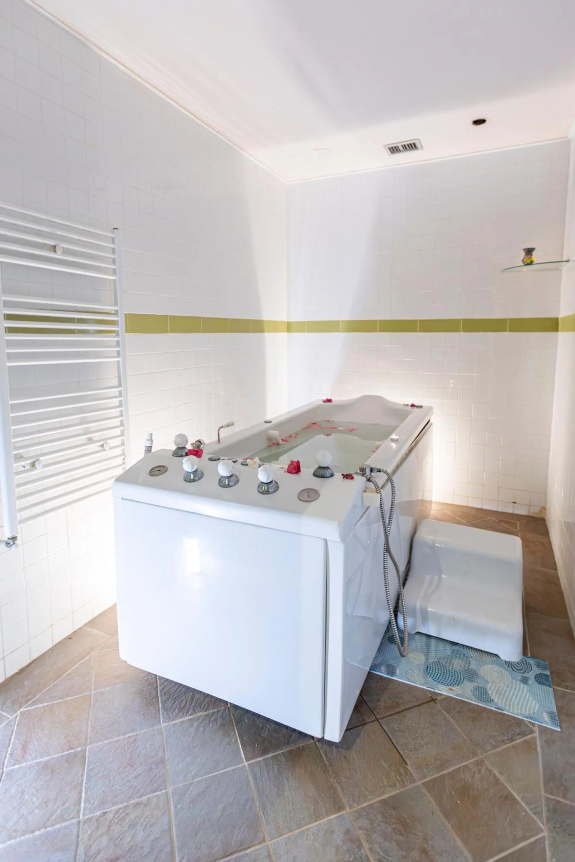 Fitness centre/facilities in Le Petit Palais Djerba & Spa