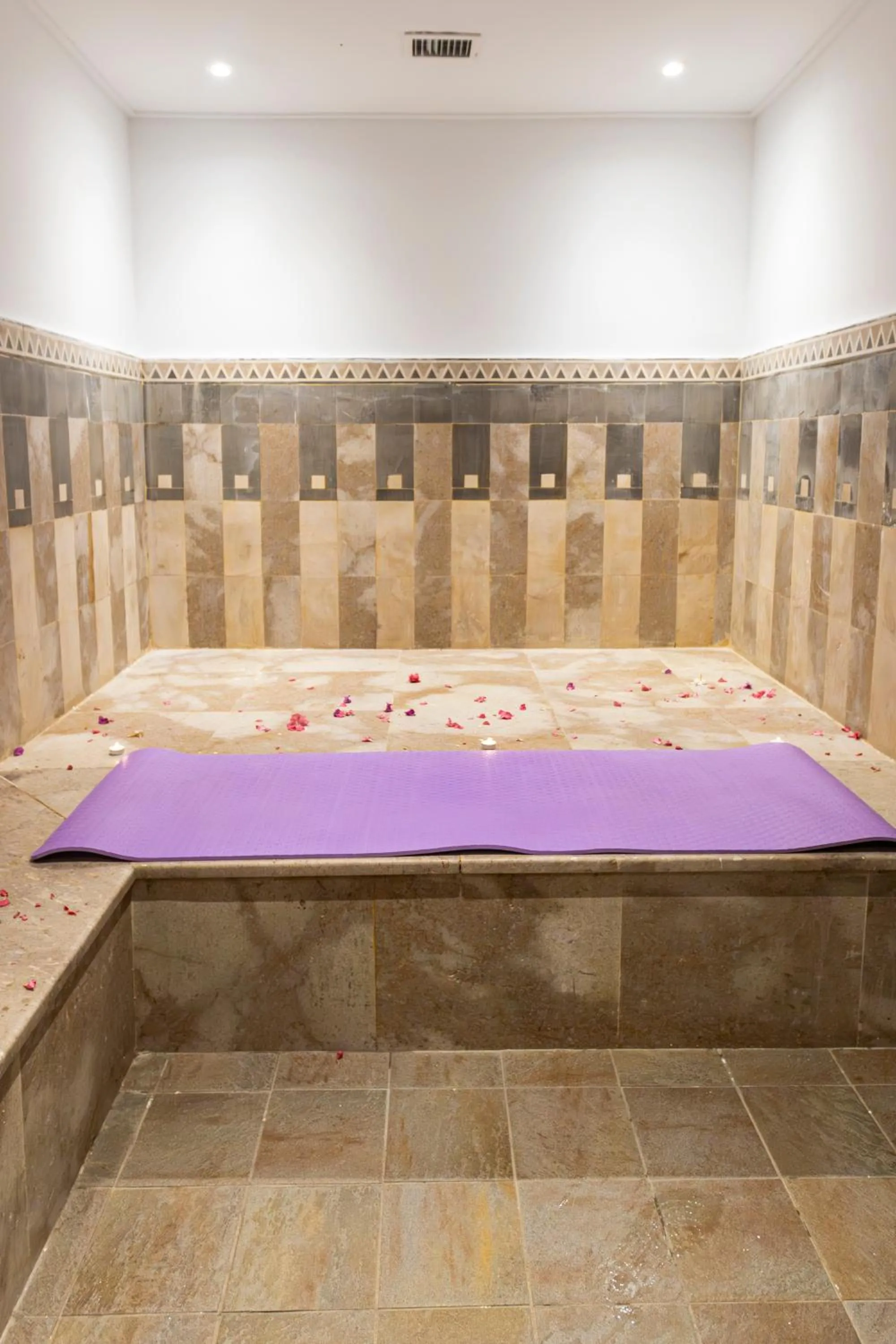Fitness centre/facilities in Le Petit Palais Djerba & Spa