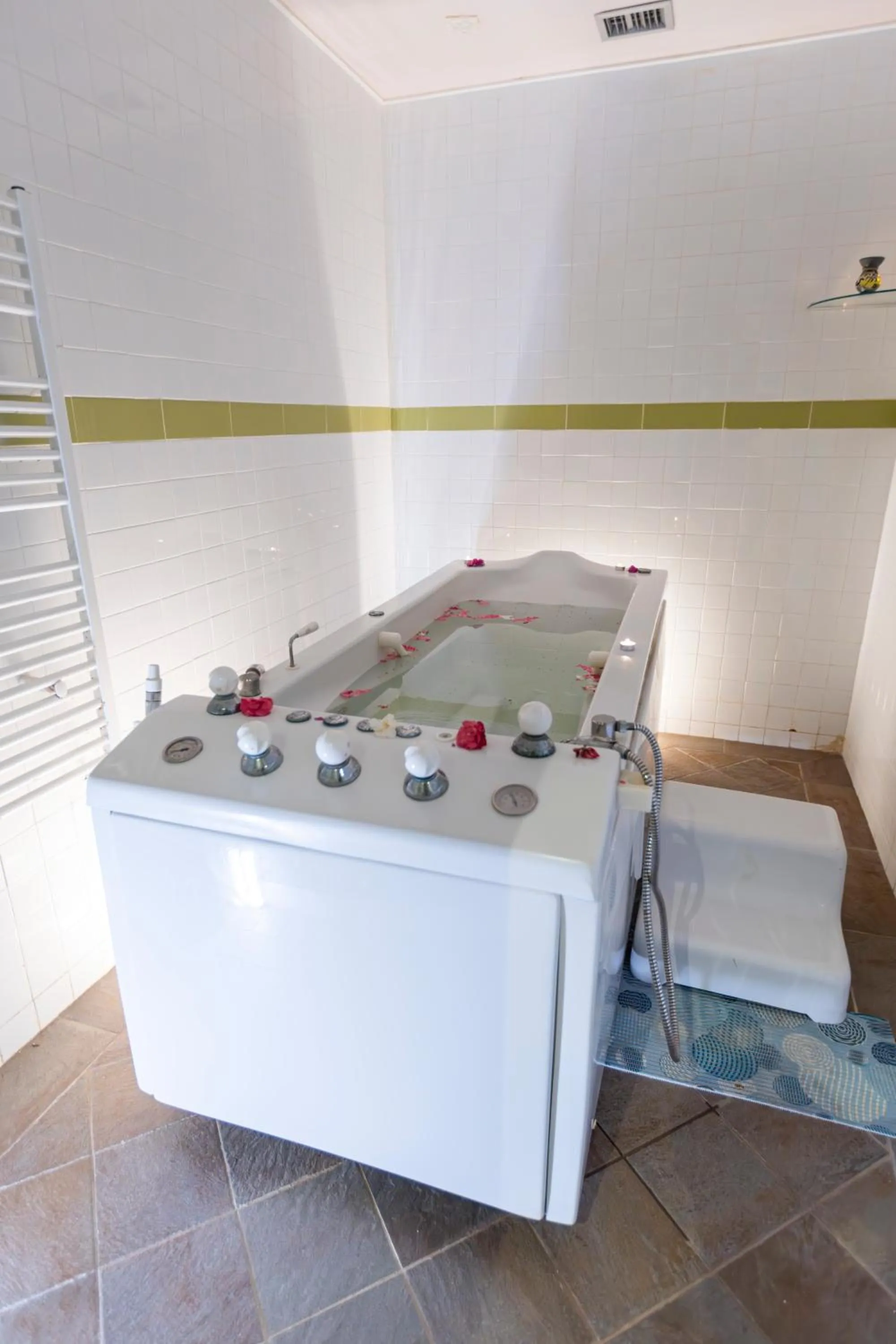 Le Petit Palais Djerba & Spa