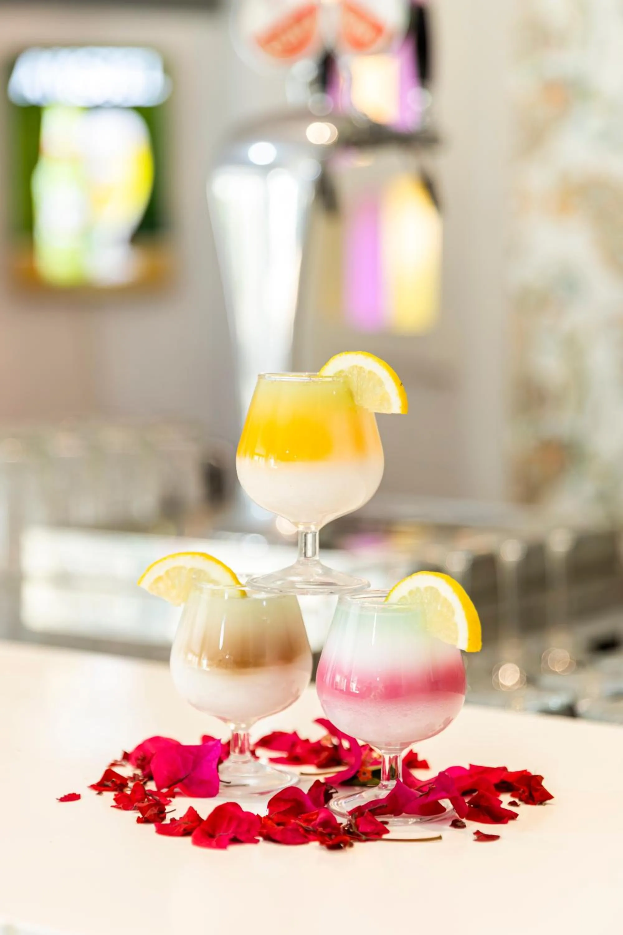 Le Petit Palais Djerba & Spa