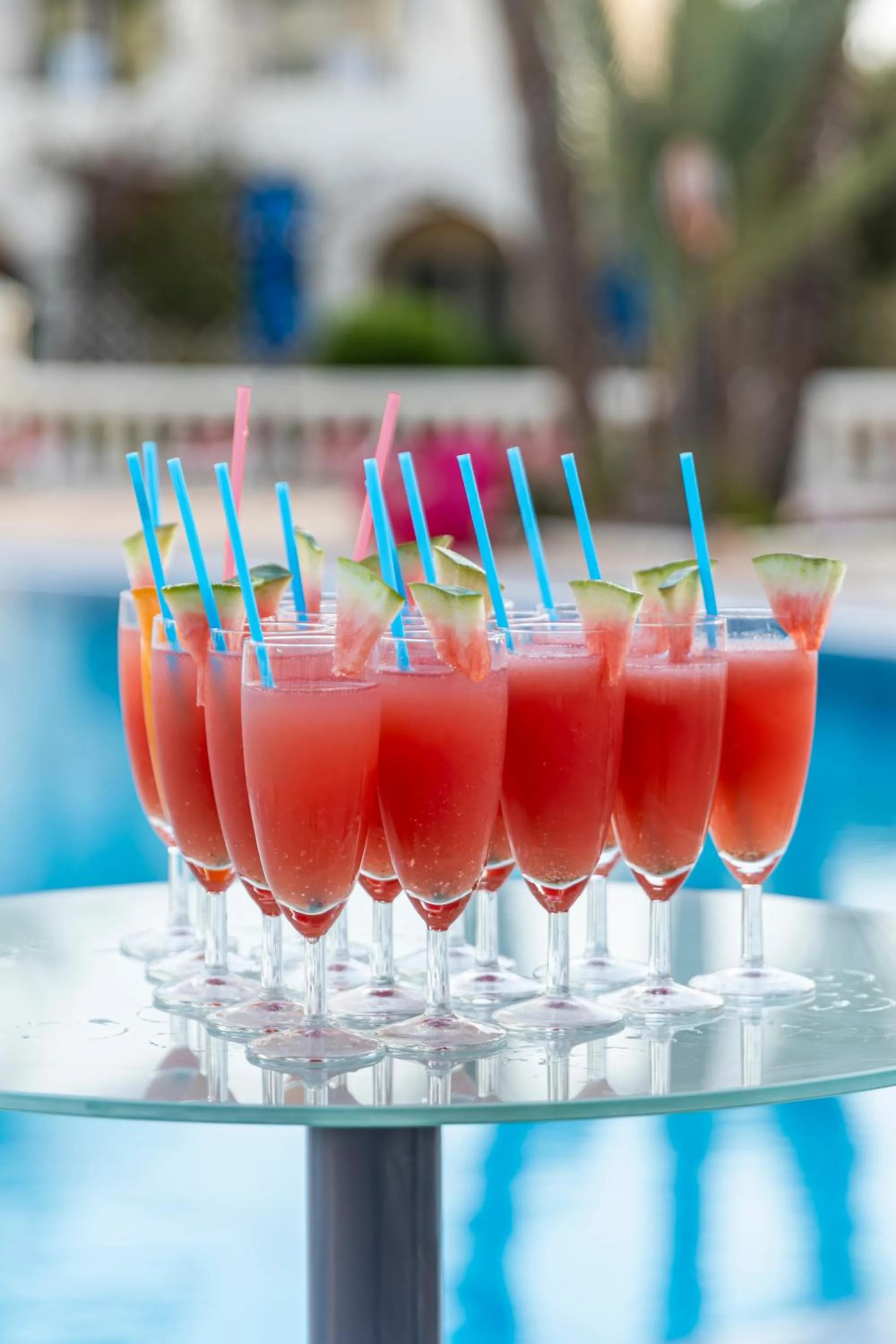 Le Petit Palais Djerba & Spa
