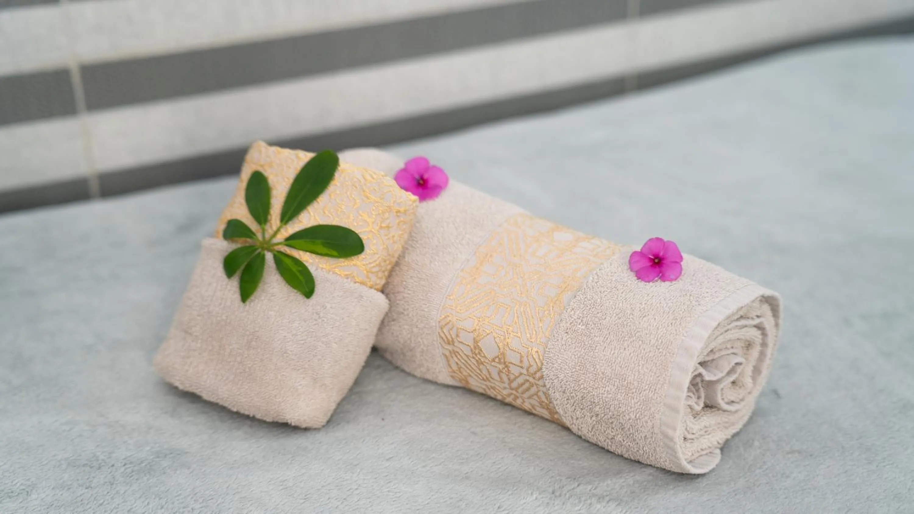 towels in Riad Allal