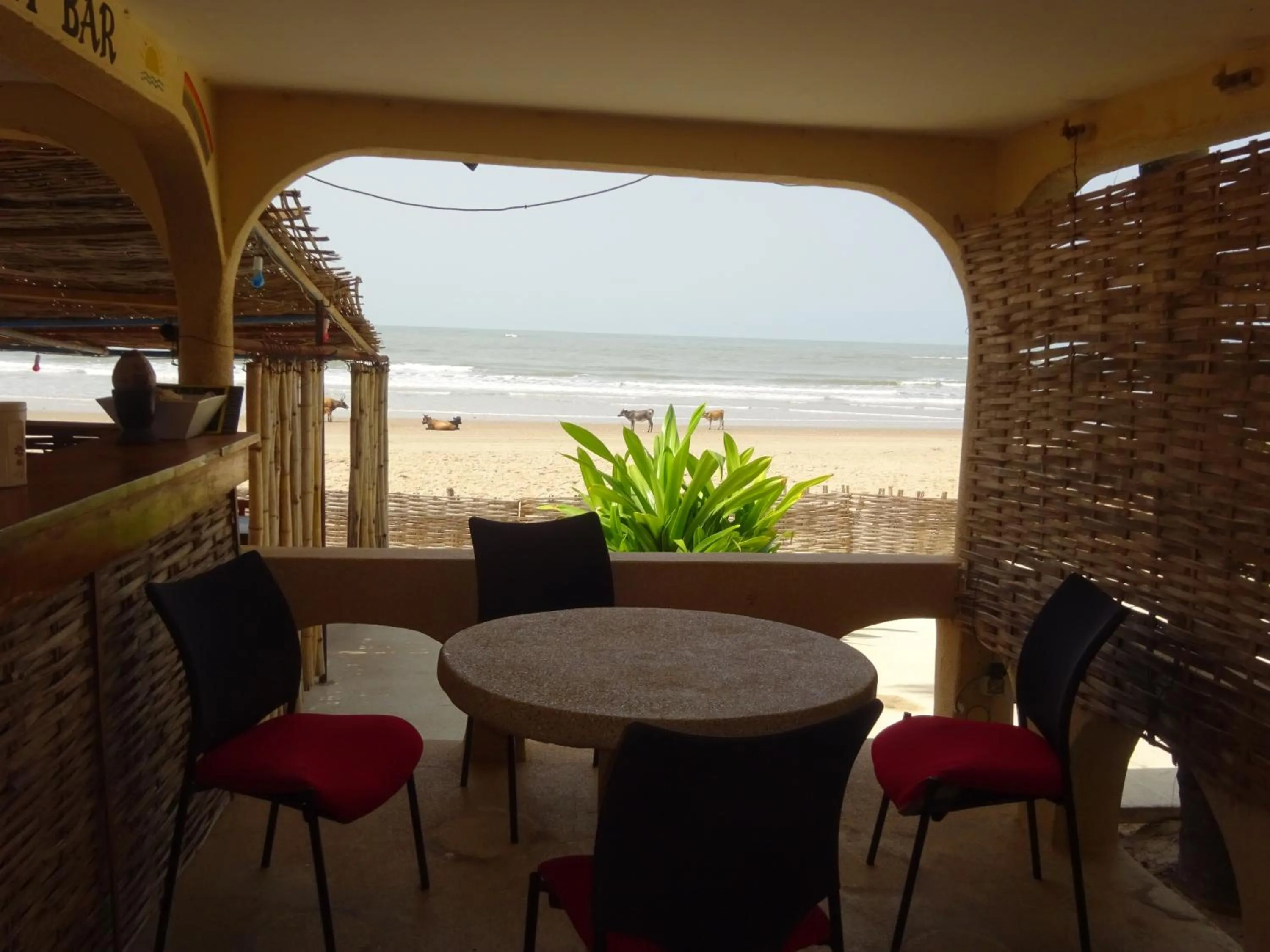 Patio in HOTEL DU BAR DE LA MER CAP SKIRRiNG