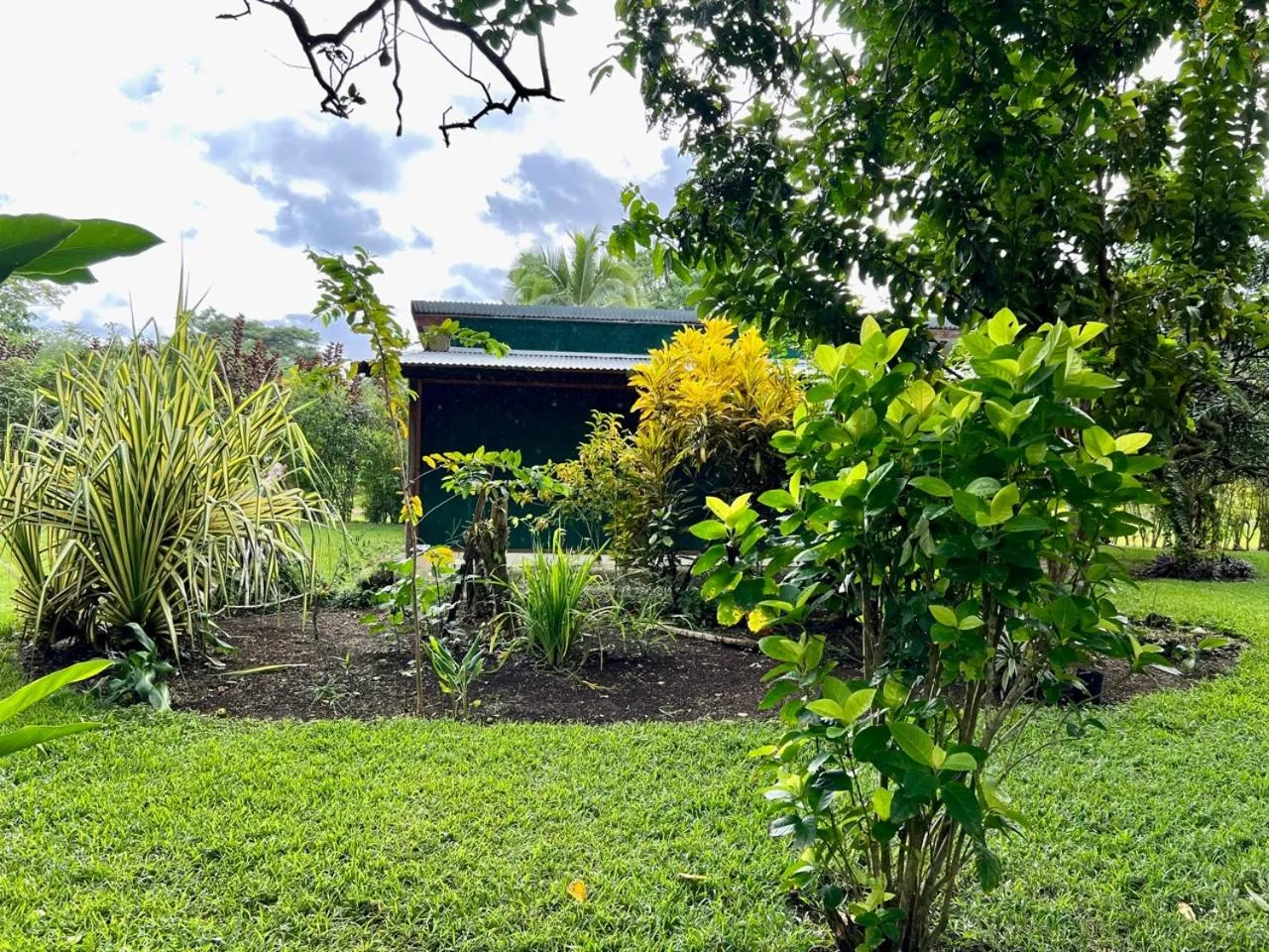 Natural landscape in Freshwater Plantation Farm Stay