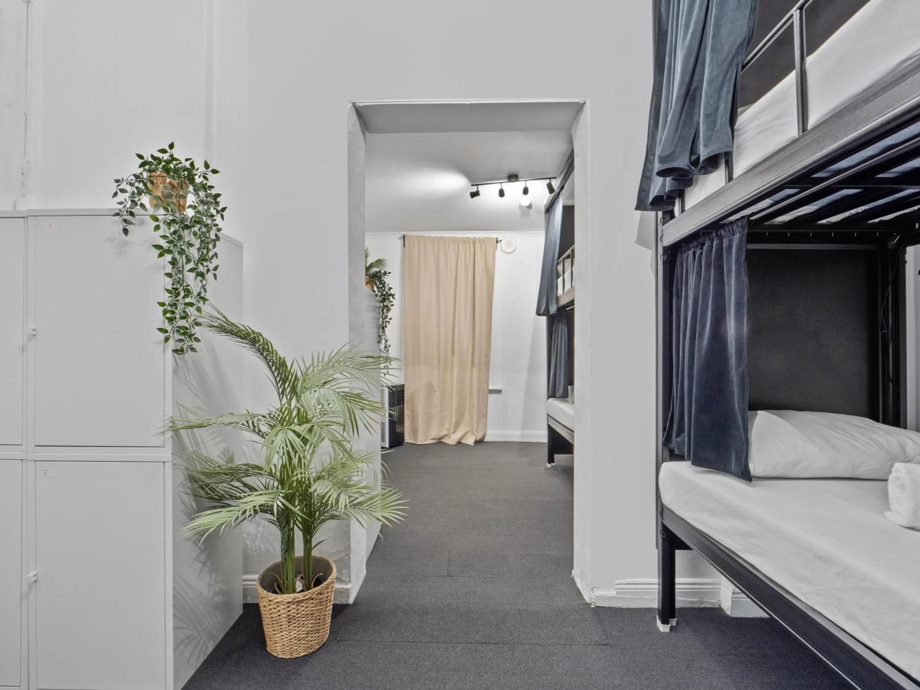 Bed in AZZURO POD HOTEL - Potts Point