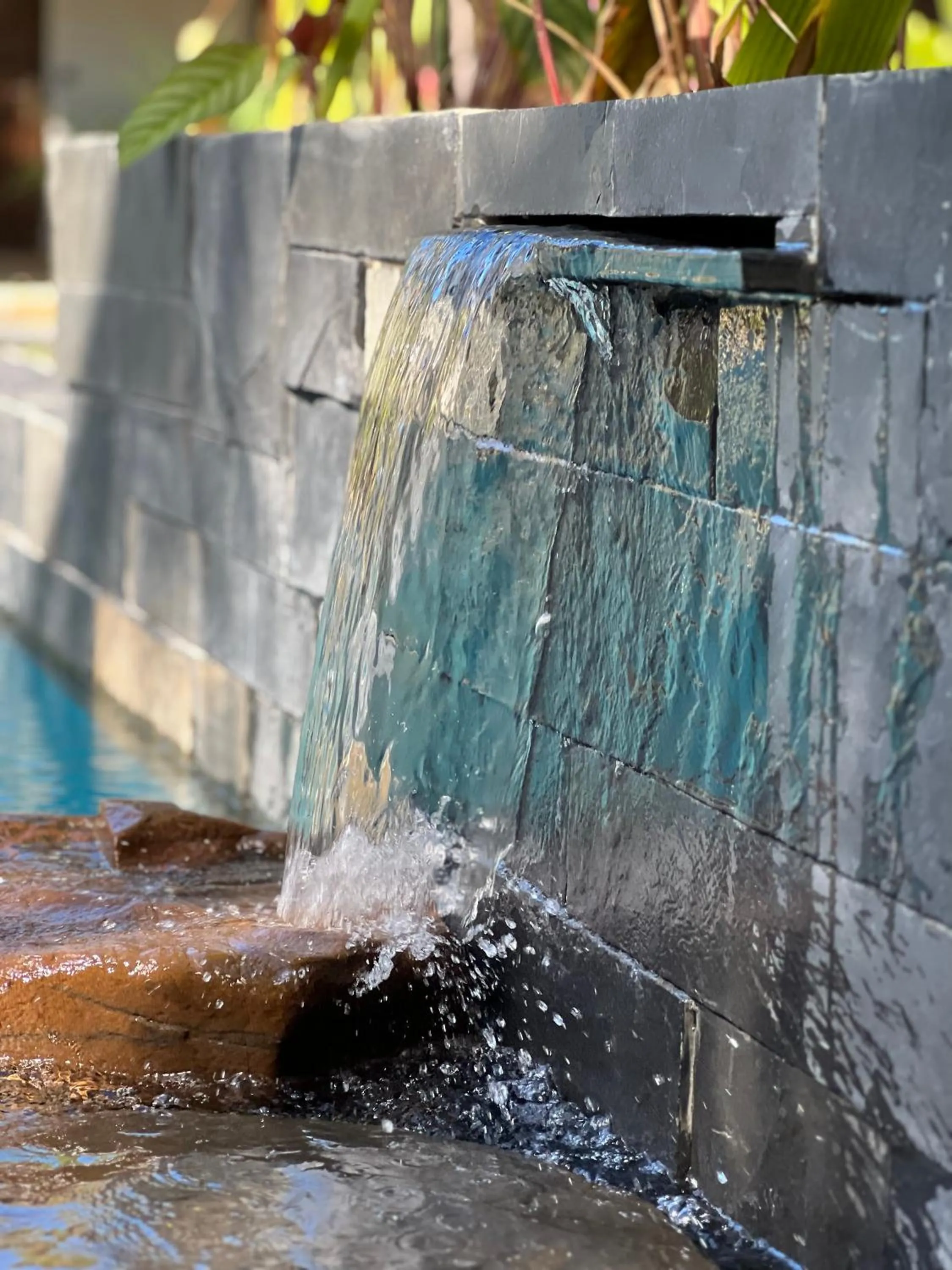 Swimming pool in NatShi Lodge