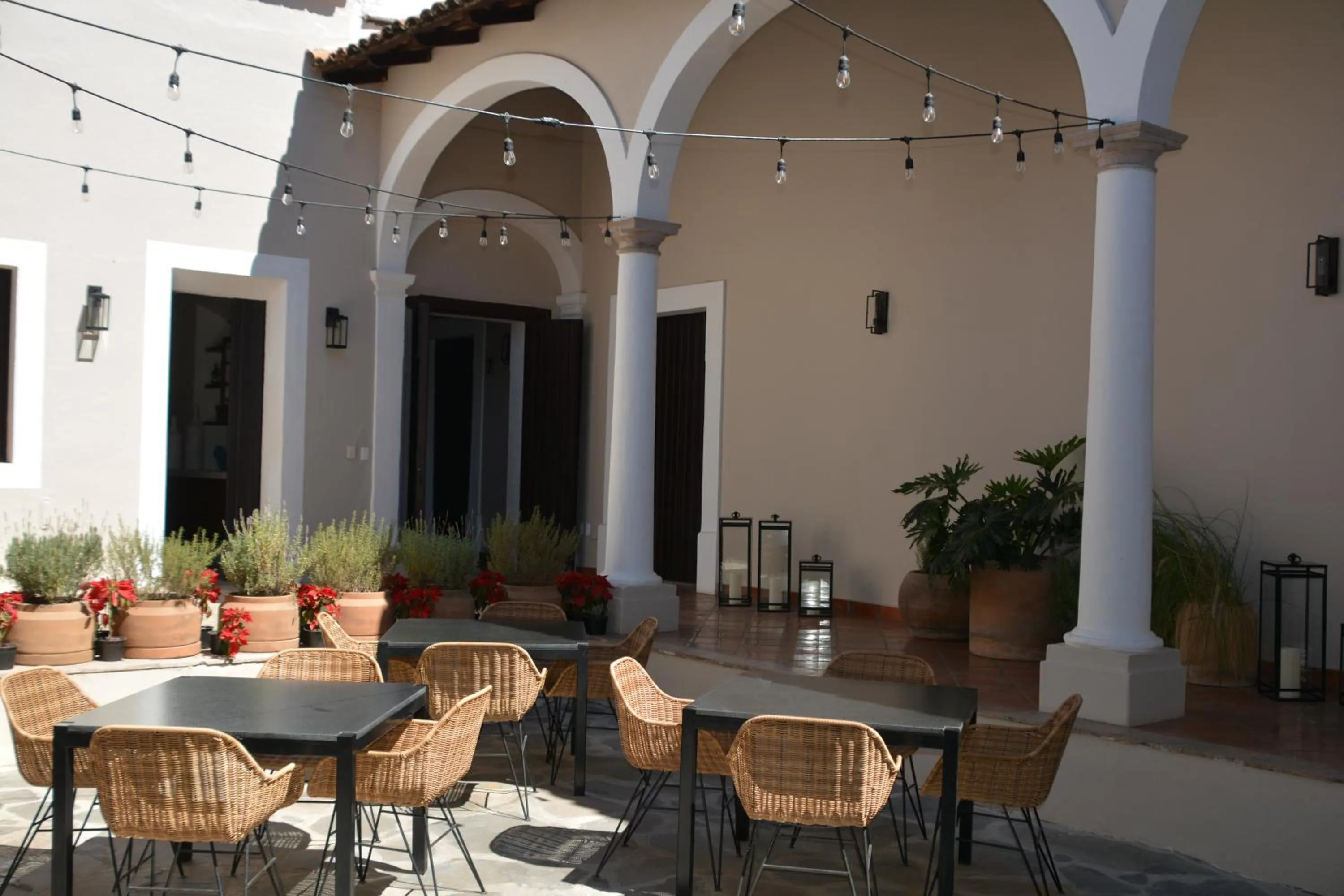 Patio in Casa Angeles Mascota