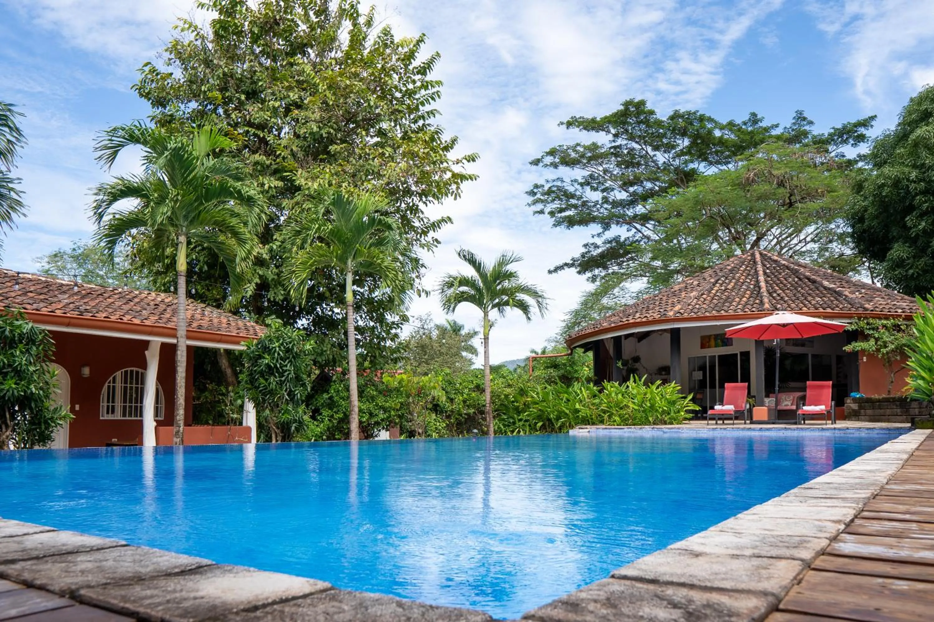 Swimming pool in Casa Mapache