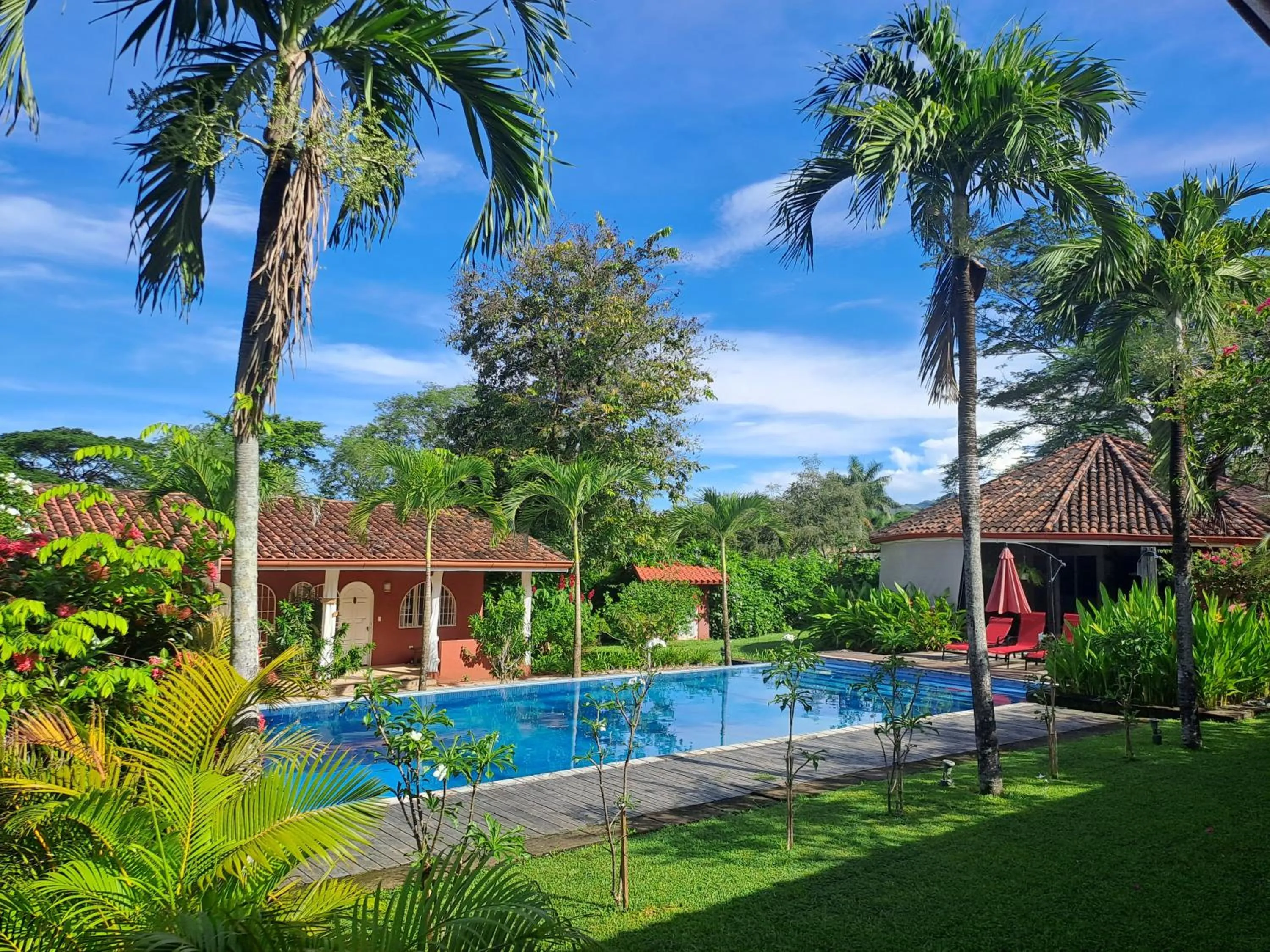 Swimming pool in Casa Mapache