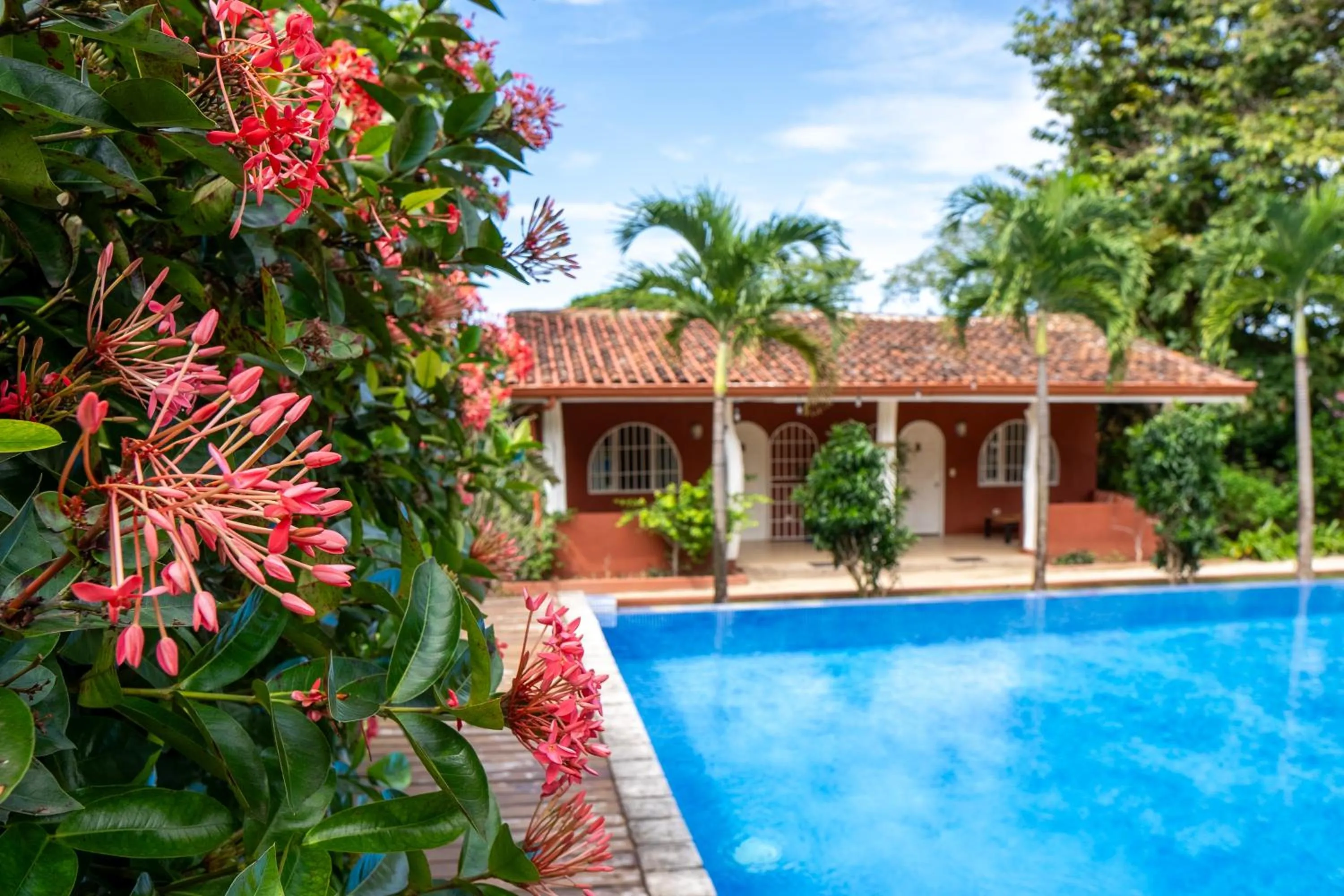Swimming pool in Casa Mapache