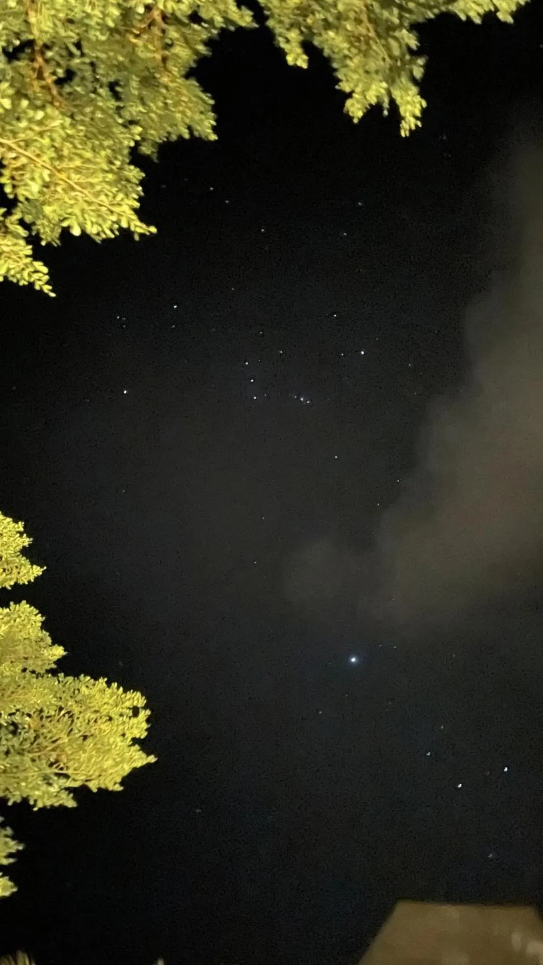 View (from property/room) in Bintan Exotica Resort By Waringin Hospitality