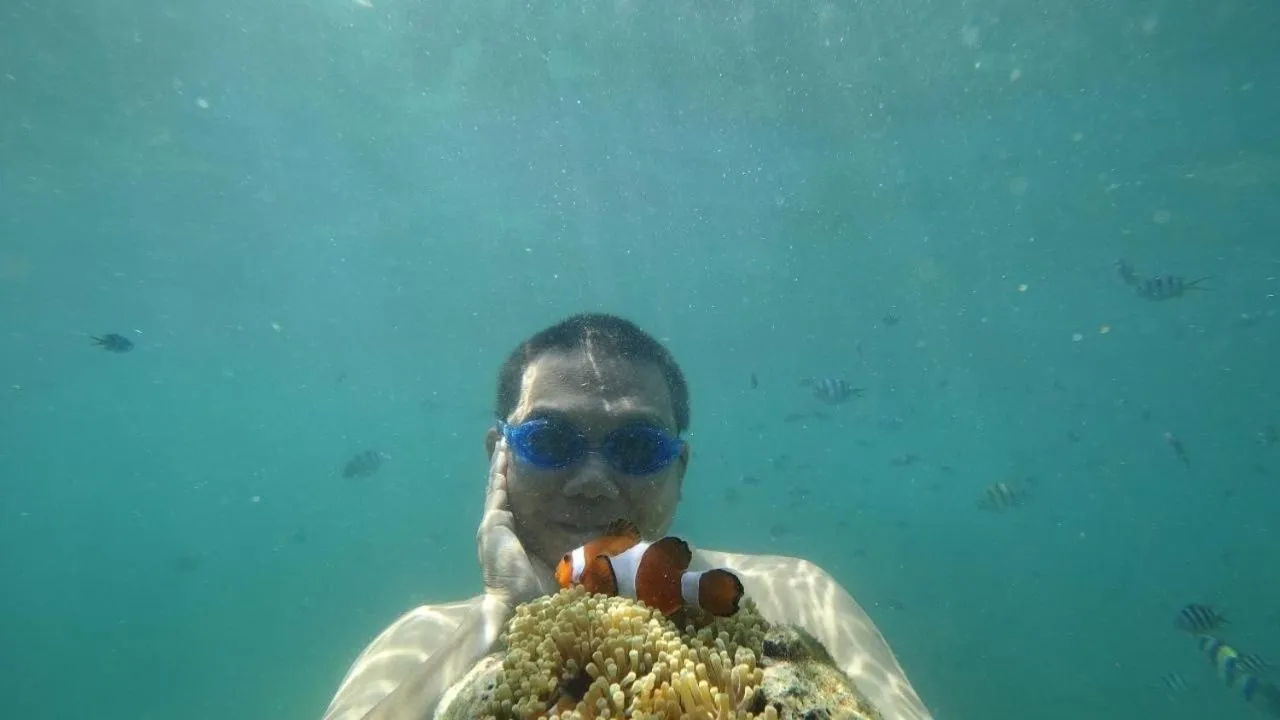 Snorkeling in Bintan Exotica Resort By Waringin Hospitality