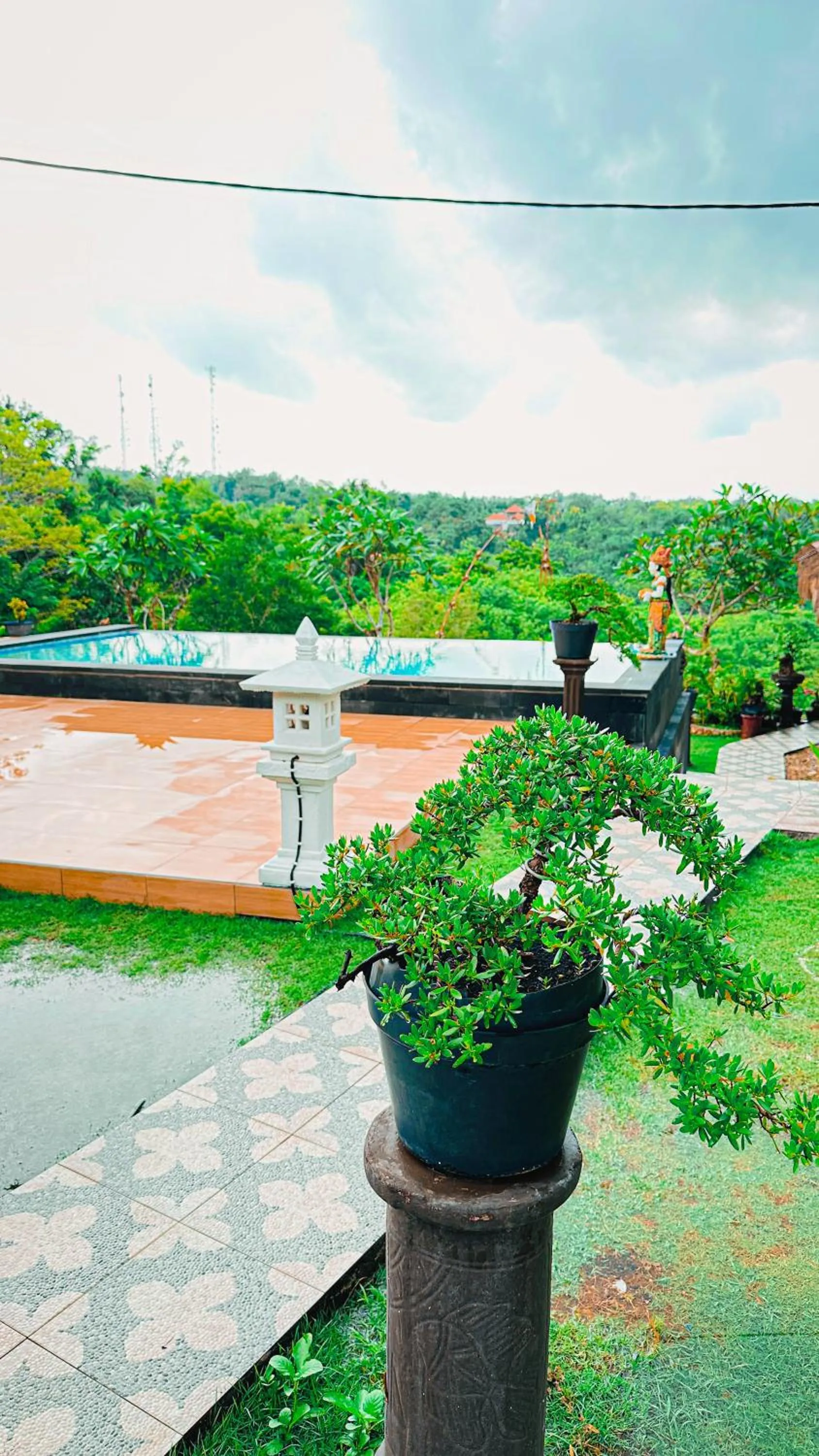 Garden view in Penida Hills