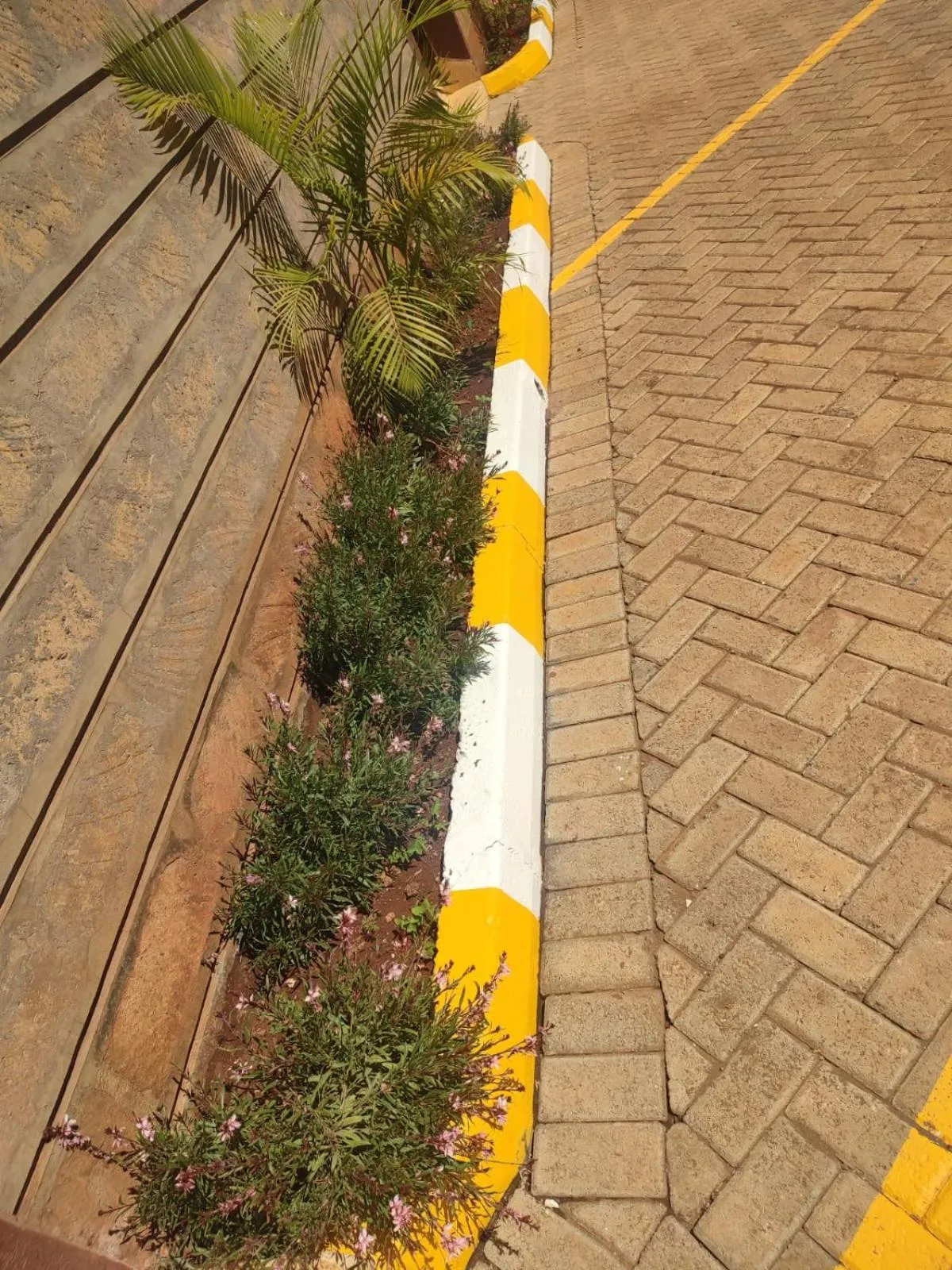 Parking in Gardens Executive Suites