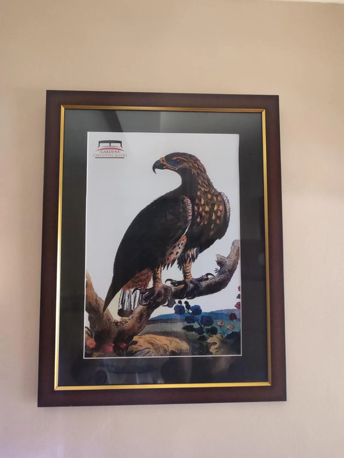 TV and multimedia in Gardens Executive Suites