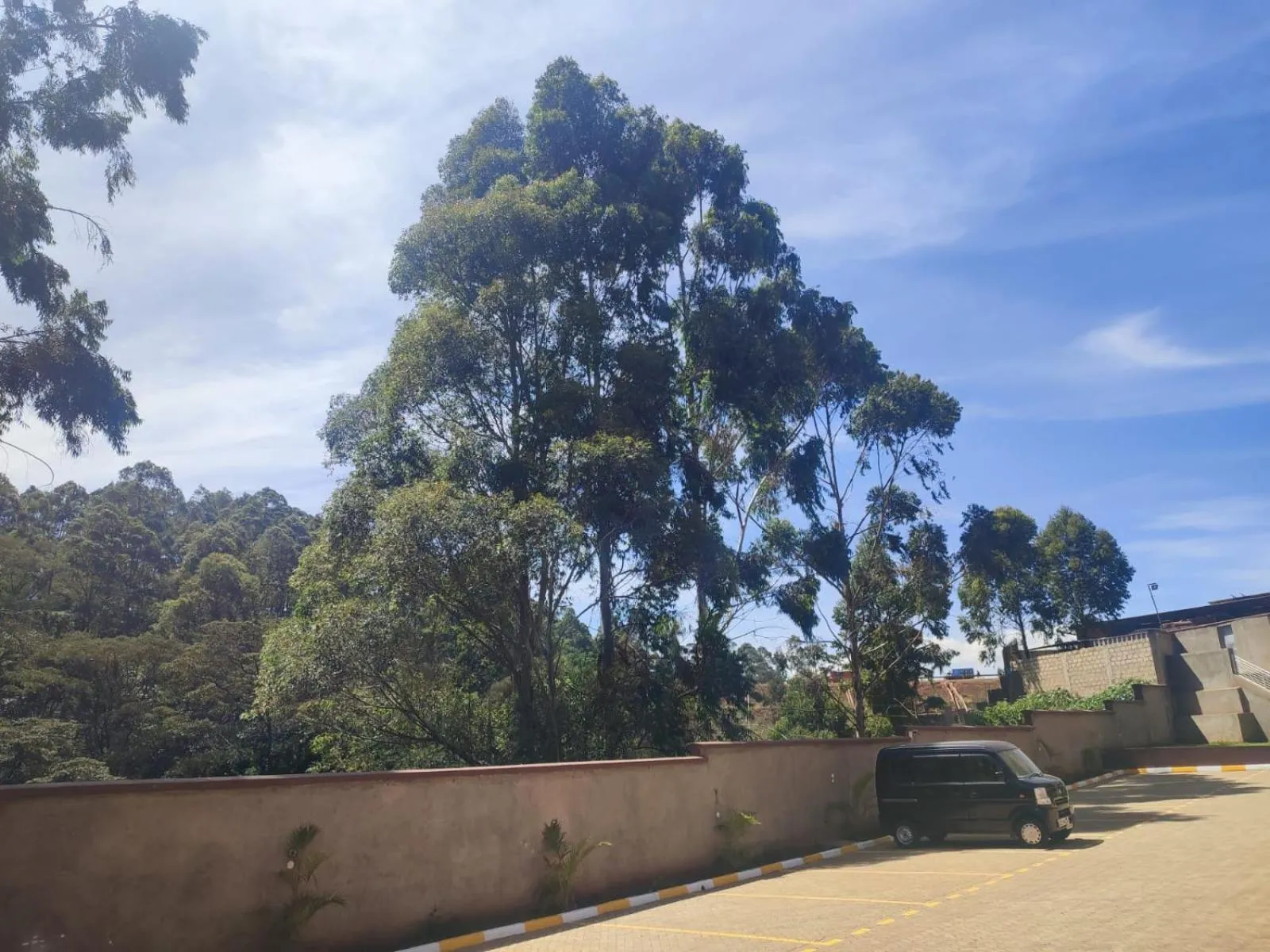 Natural landscape in Gardens Executive Suites