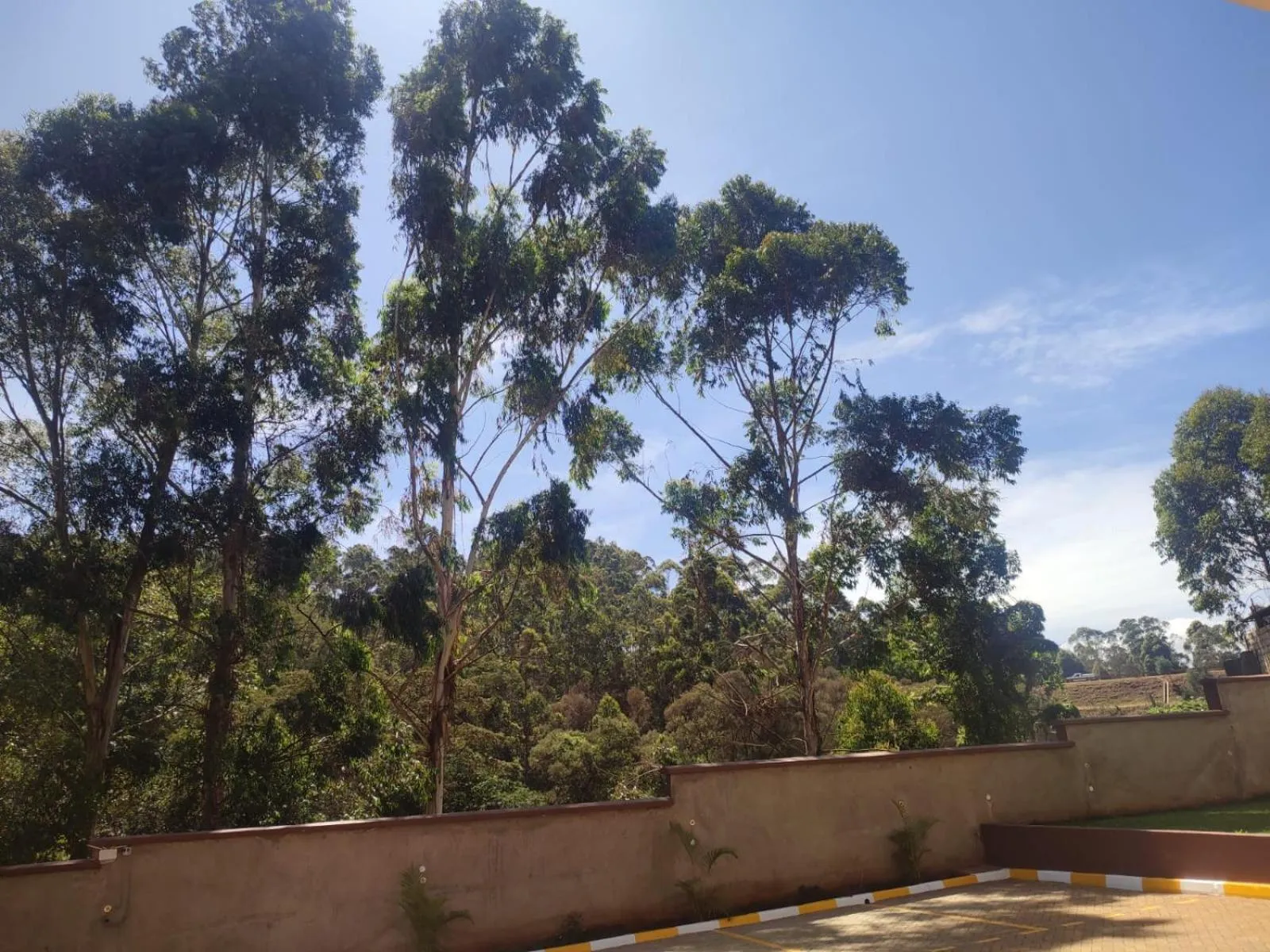 Natural landscape in Gardens Executive Suites