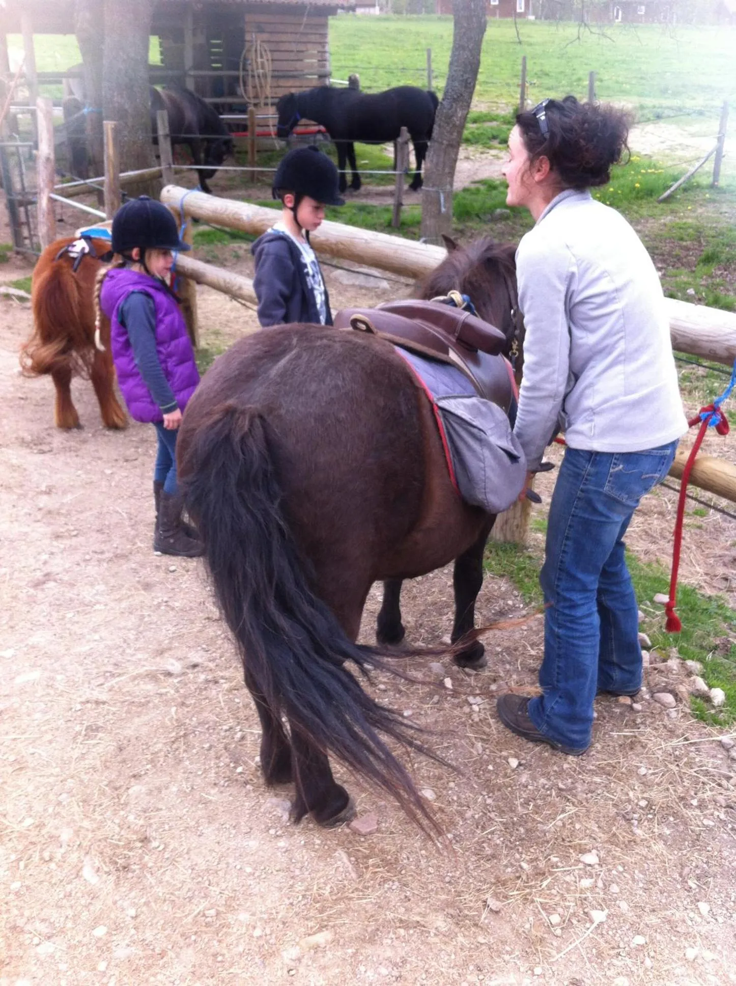 Horse-riding in Les Chalets de la MARGERIDE