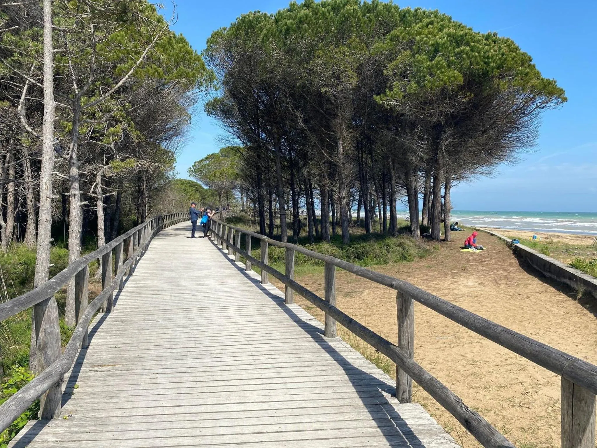 Summer in Bright flat in residence with pool - Beahost