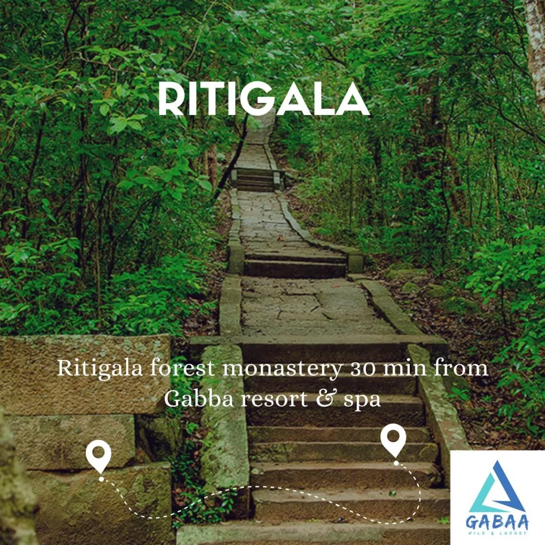 Activities in Gabaa Resort & Spa - Habarana