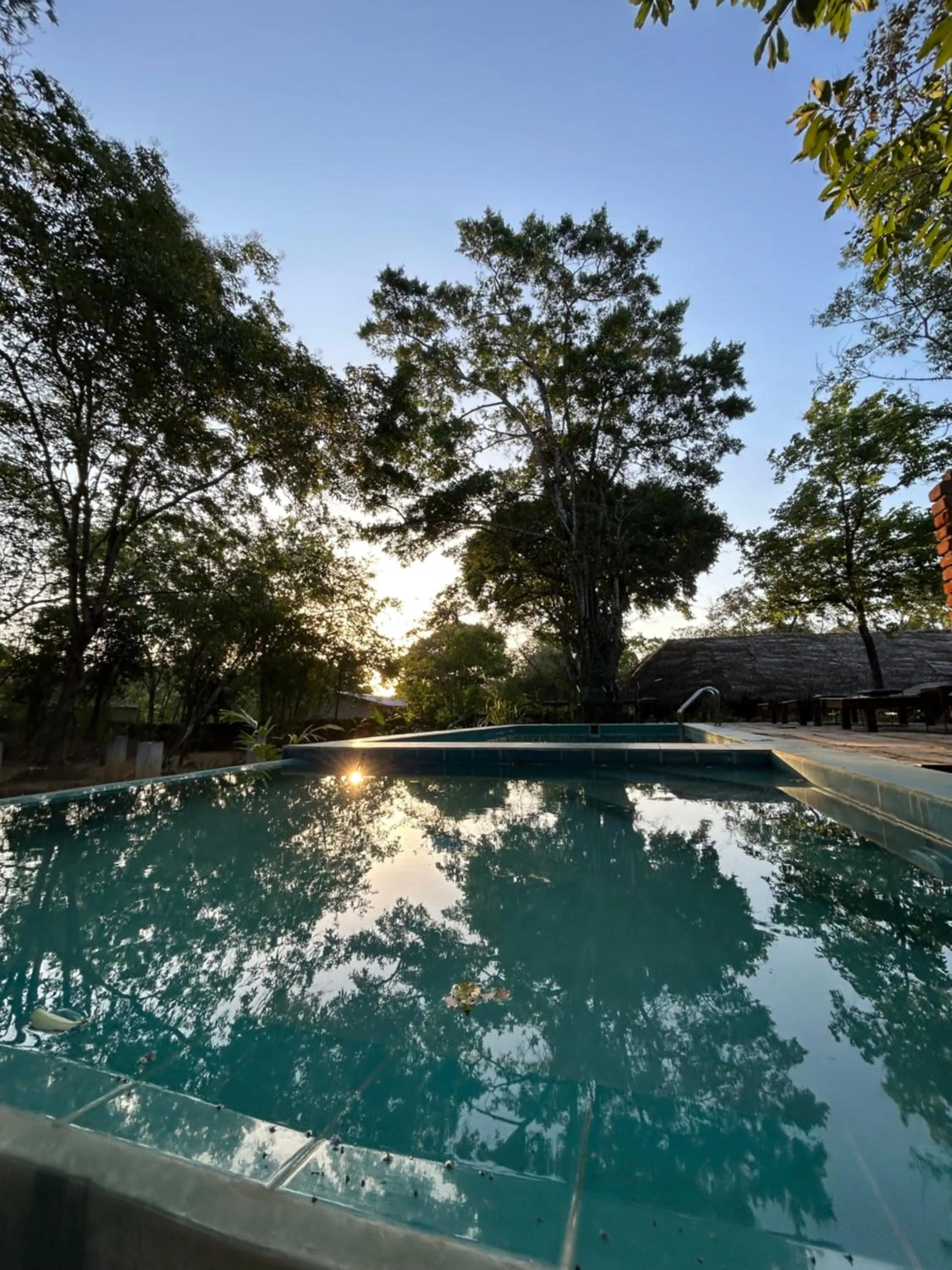 Pool view in Gabaa Resort & Spa - Habarana
