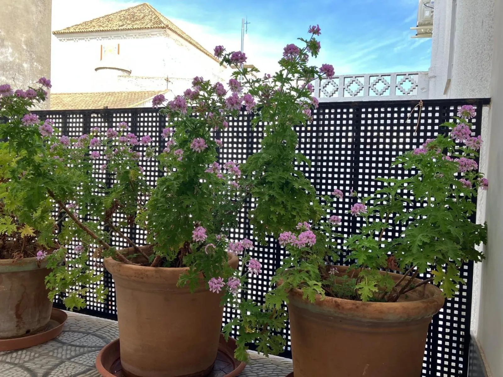 Apartamento sobre el rio Guadiana