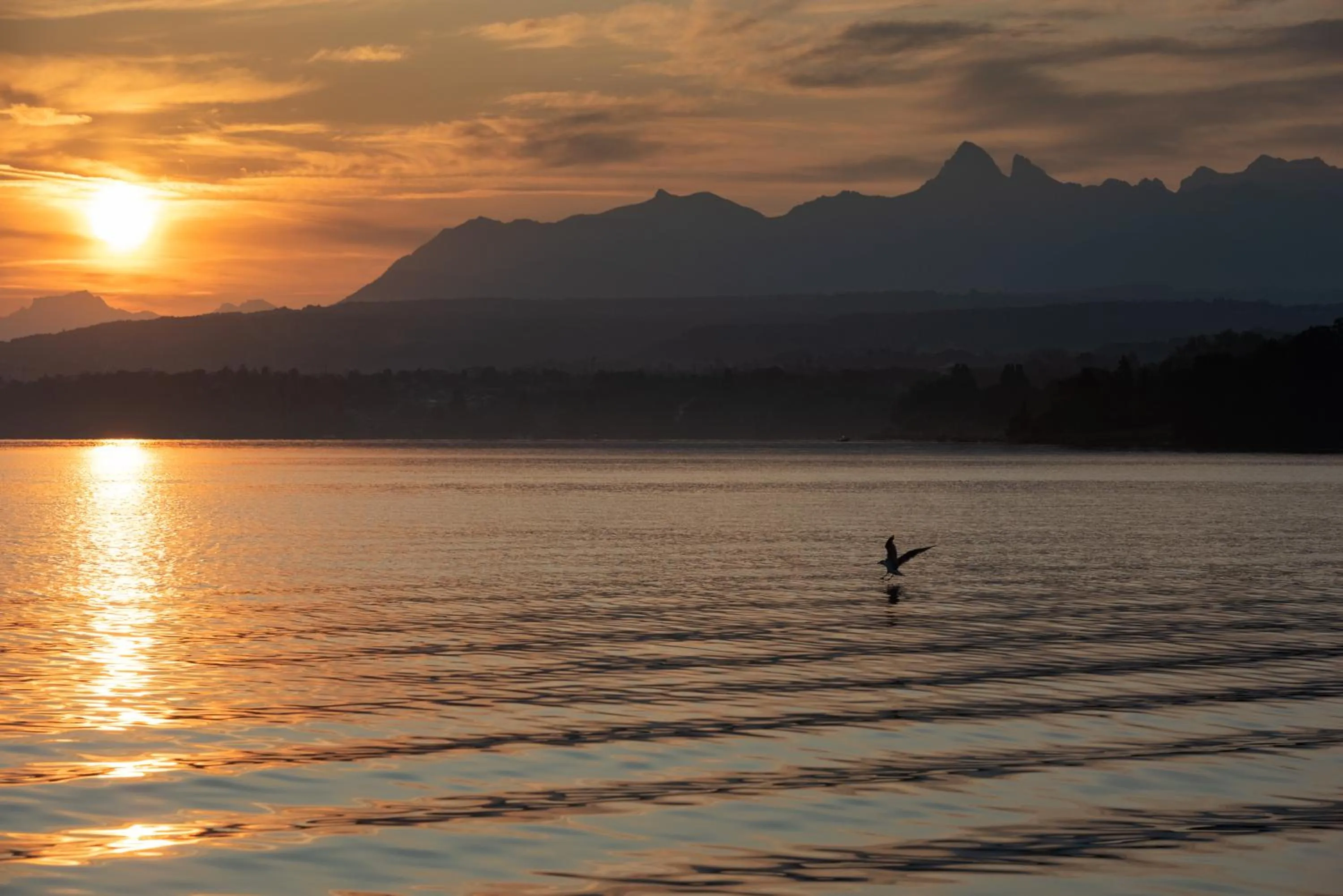 Day in Hôtel de la Plage