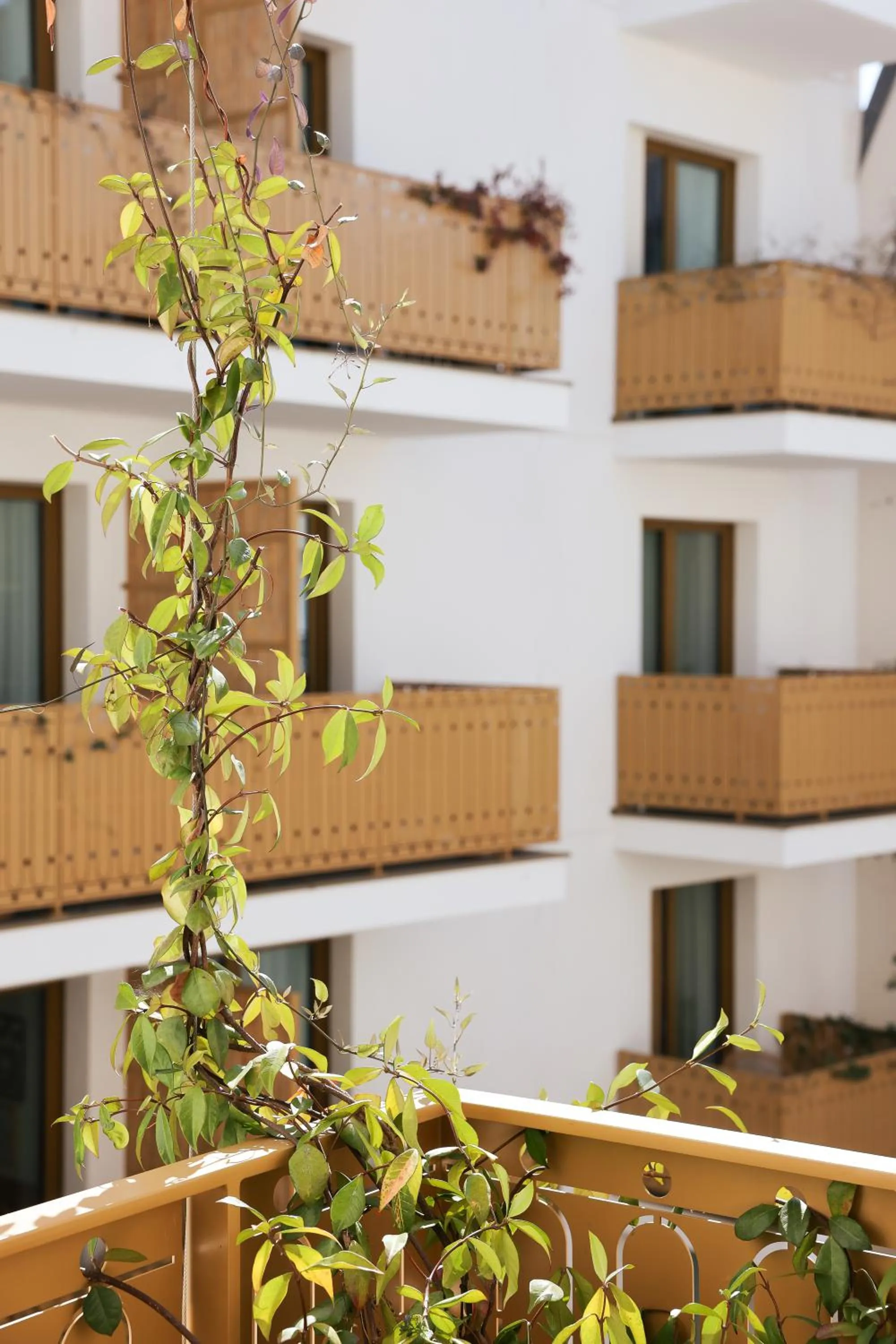 Bloom House Hôtel & SPA