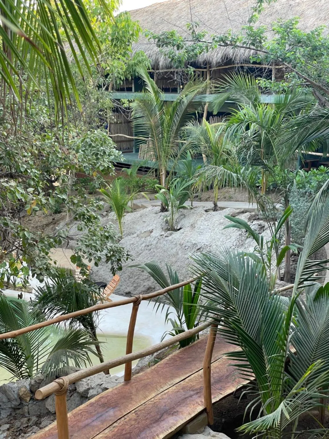 Natural landscape in COCOS HOTEL
