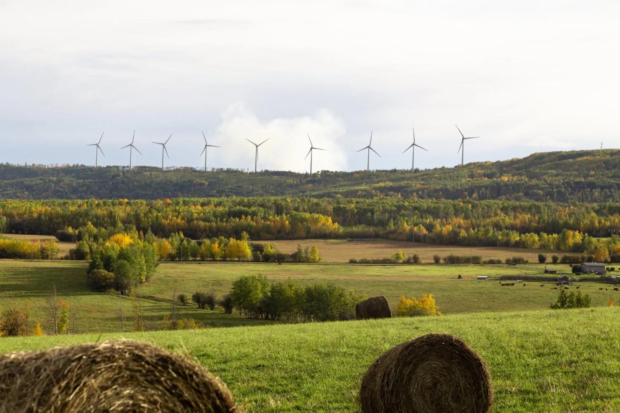 Area and facilities in Staybridge Suites - Dawson Creek by IHG