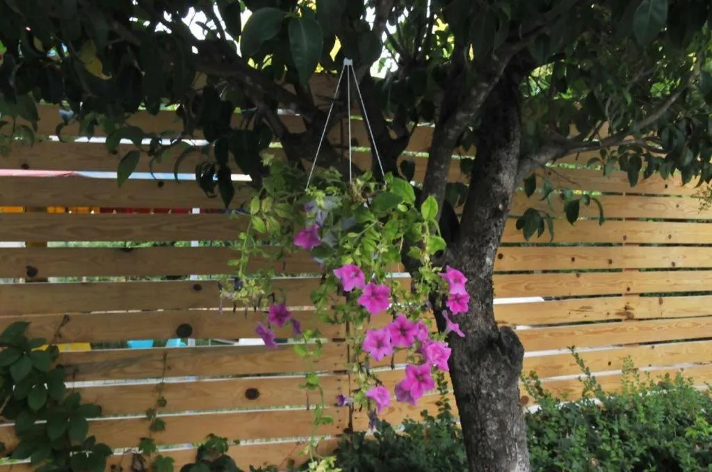 Garden Hotel