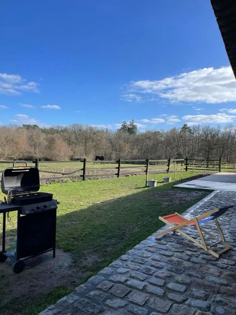Garden in Gîte à la campagne 1 chambre Les Grandes Maisons Espace jacuzzi hammam SPA