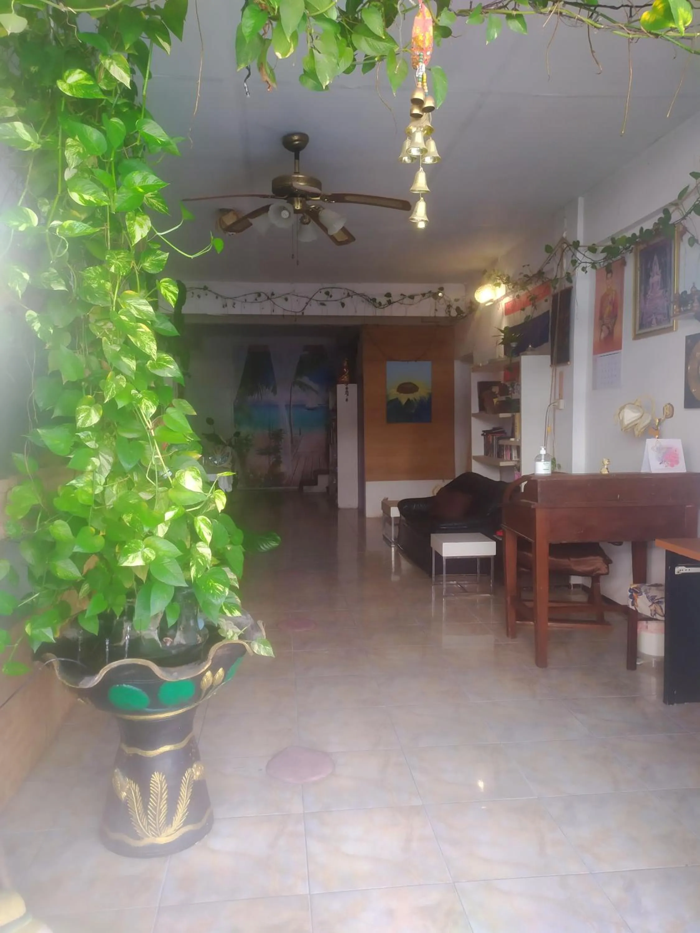 Property building in SV. HOUSE